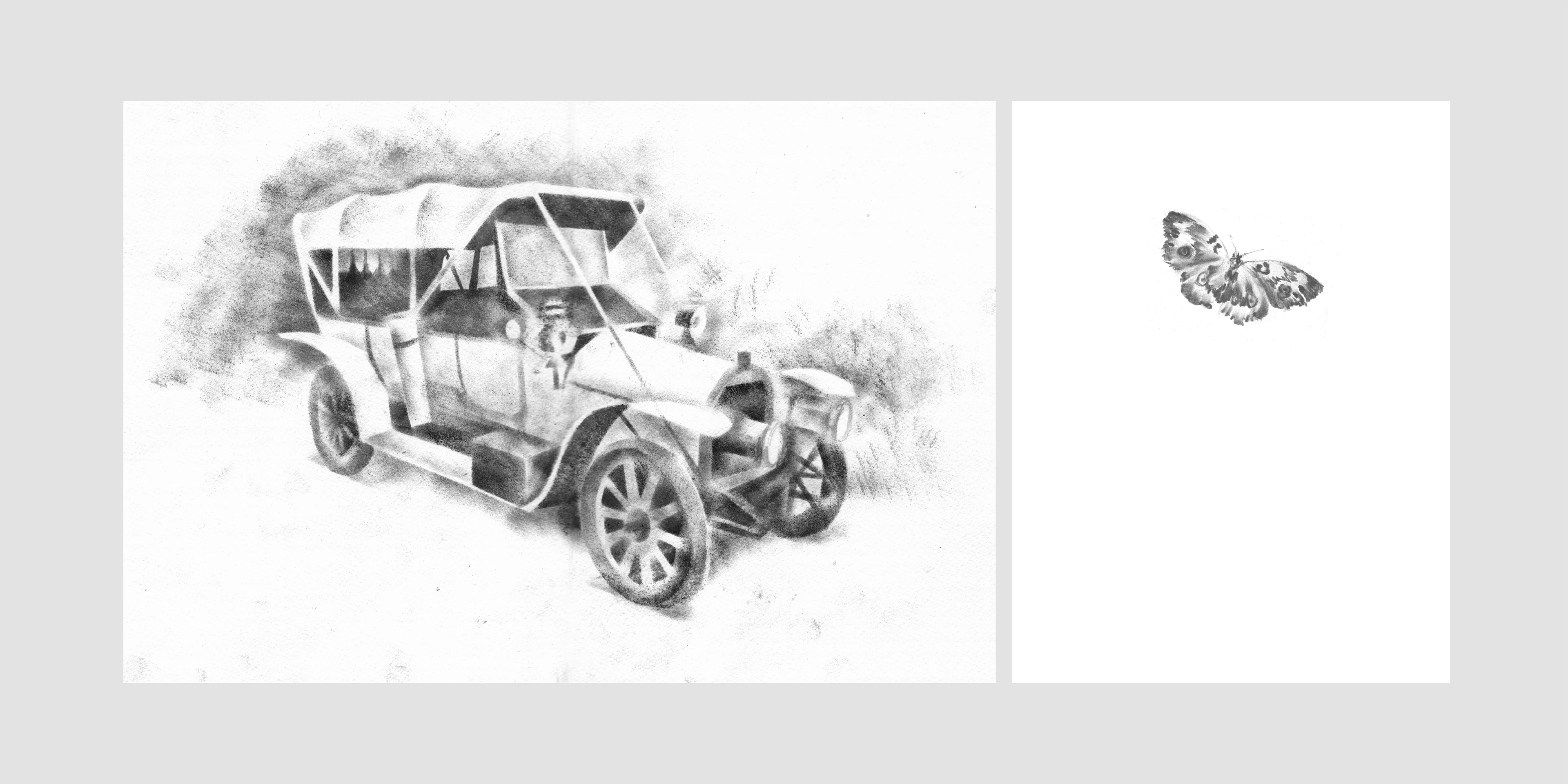 Набокову — Изображение №4 — Иллюстрация на Dprofile