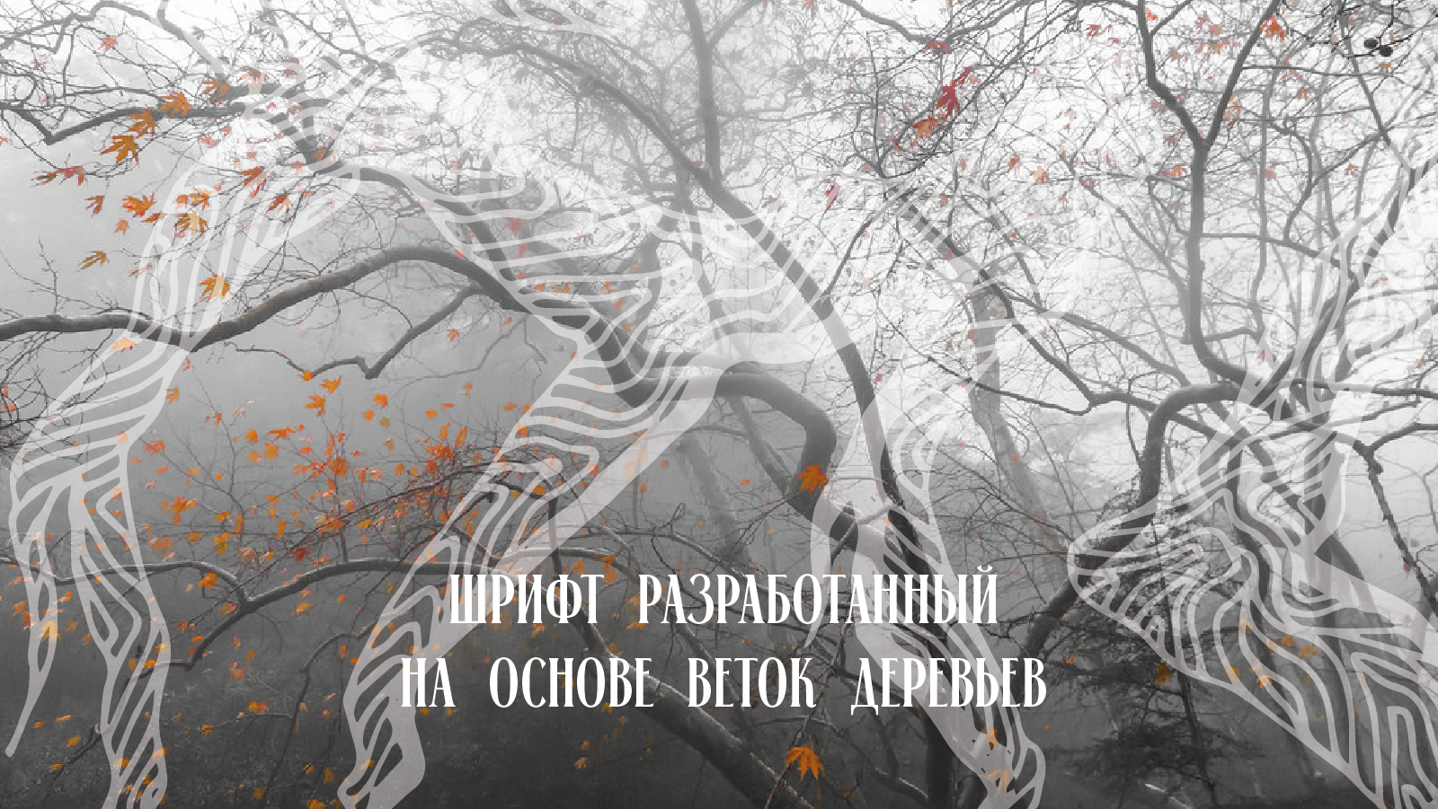 Шрифт из веток деревьев — Изображение №1 — Иллюстрация, Графика на Dprofile