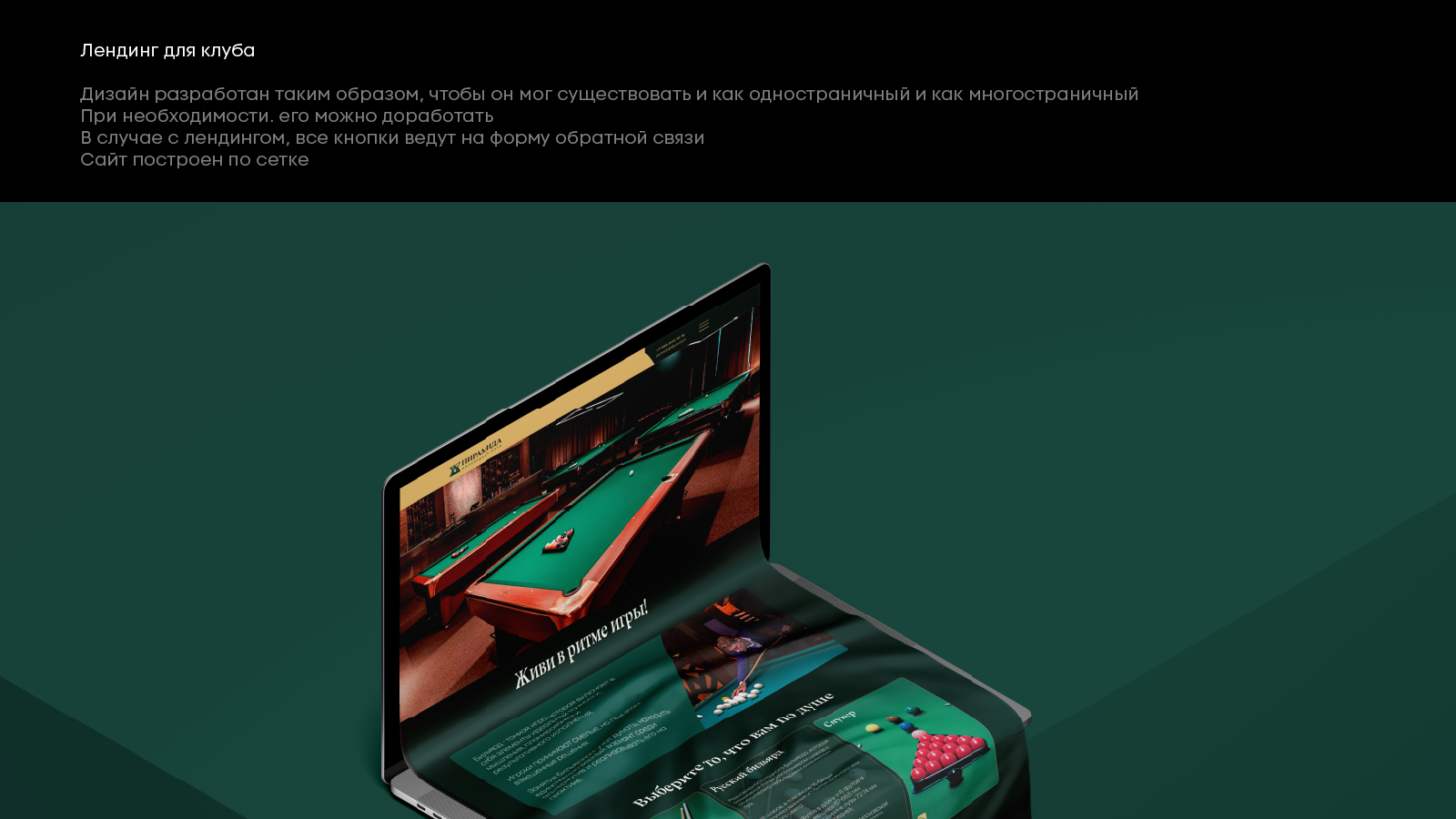 Портфолио графического дизайнера 2026 — Изображение №12 — Брендинг, Графика на Dprofile