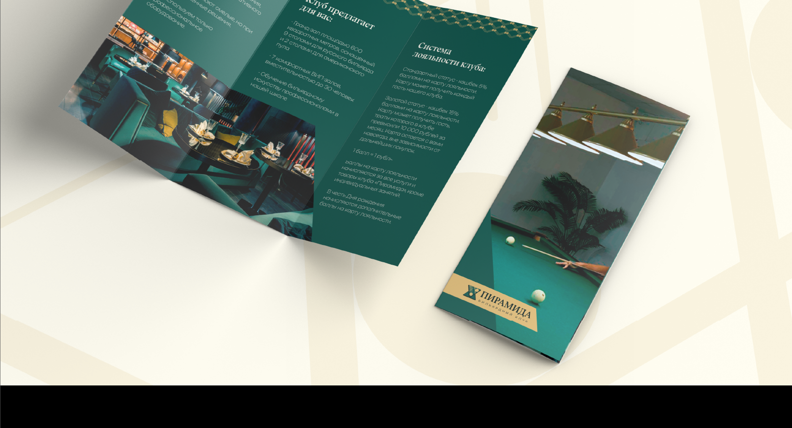 Портфолио графического дизайнера 2026 — Изображение №10 — Брендинг, Графика на Dprofile