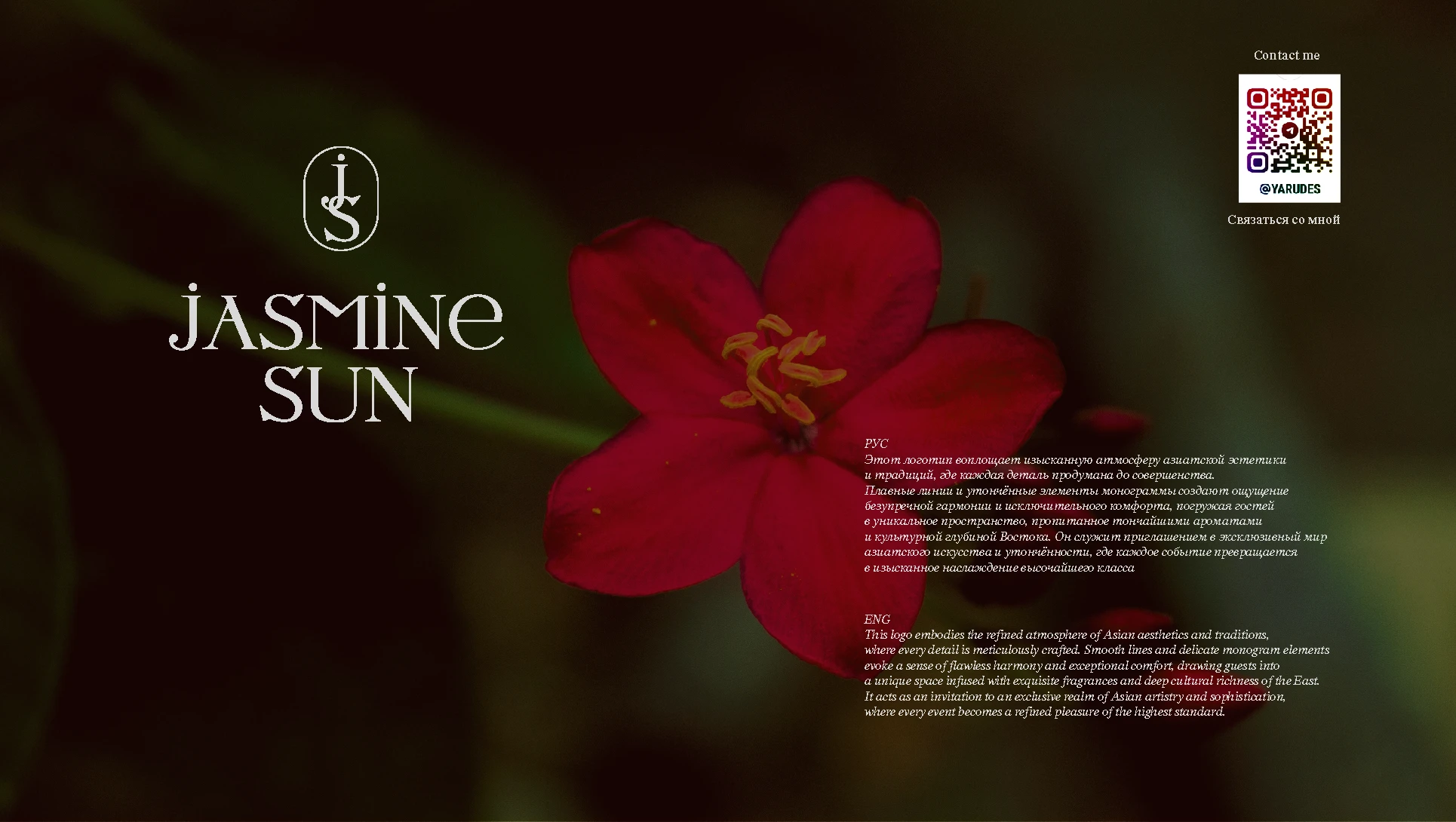 Jasmine Sun logo visual — Изображение №15 — Брендинг на Dprofile
