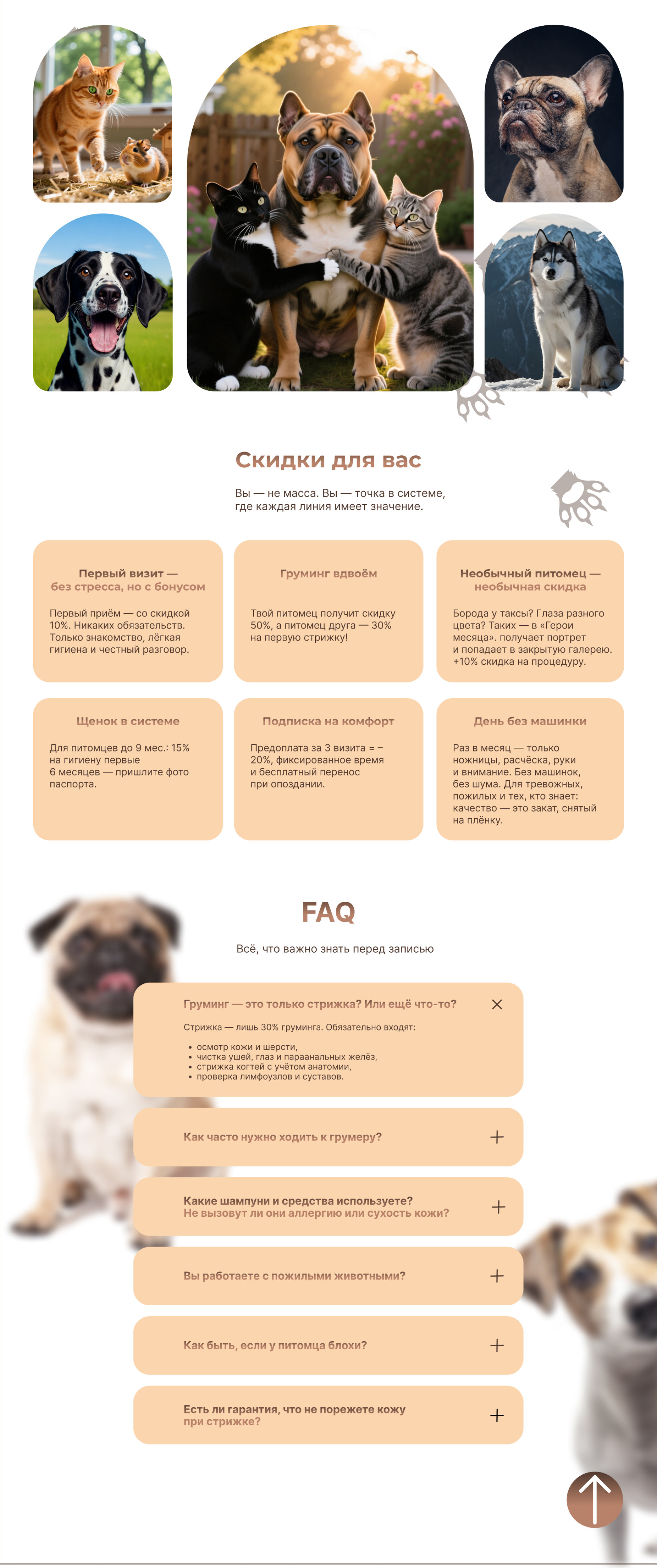 Груминг салон — Изображение №7 — Интерфейсы на Dprofile