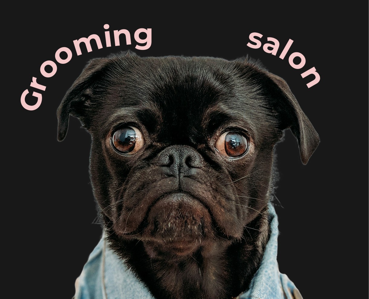 Груминг салон — Интерфейсы на Dprofile