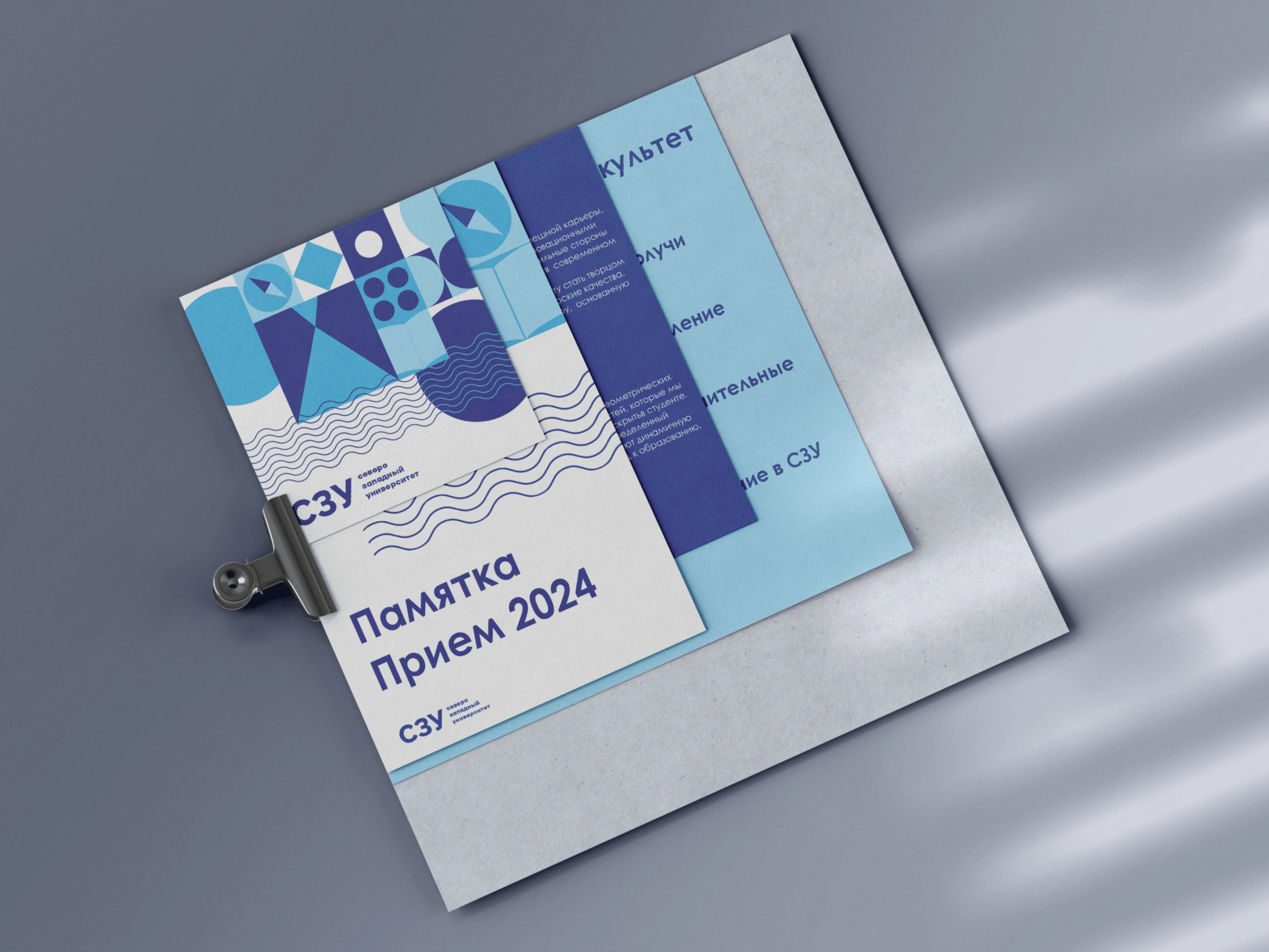 NWU university identity | айдентика вуза СЗУ — Изображение №3 — Брендинг, Графика на Dprofile