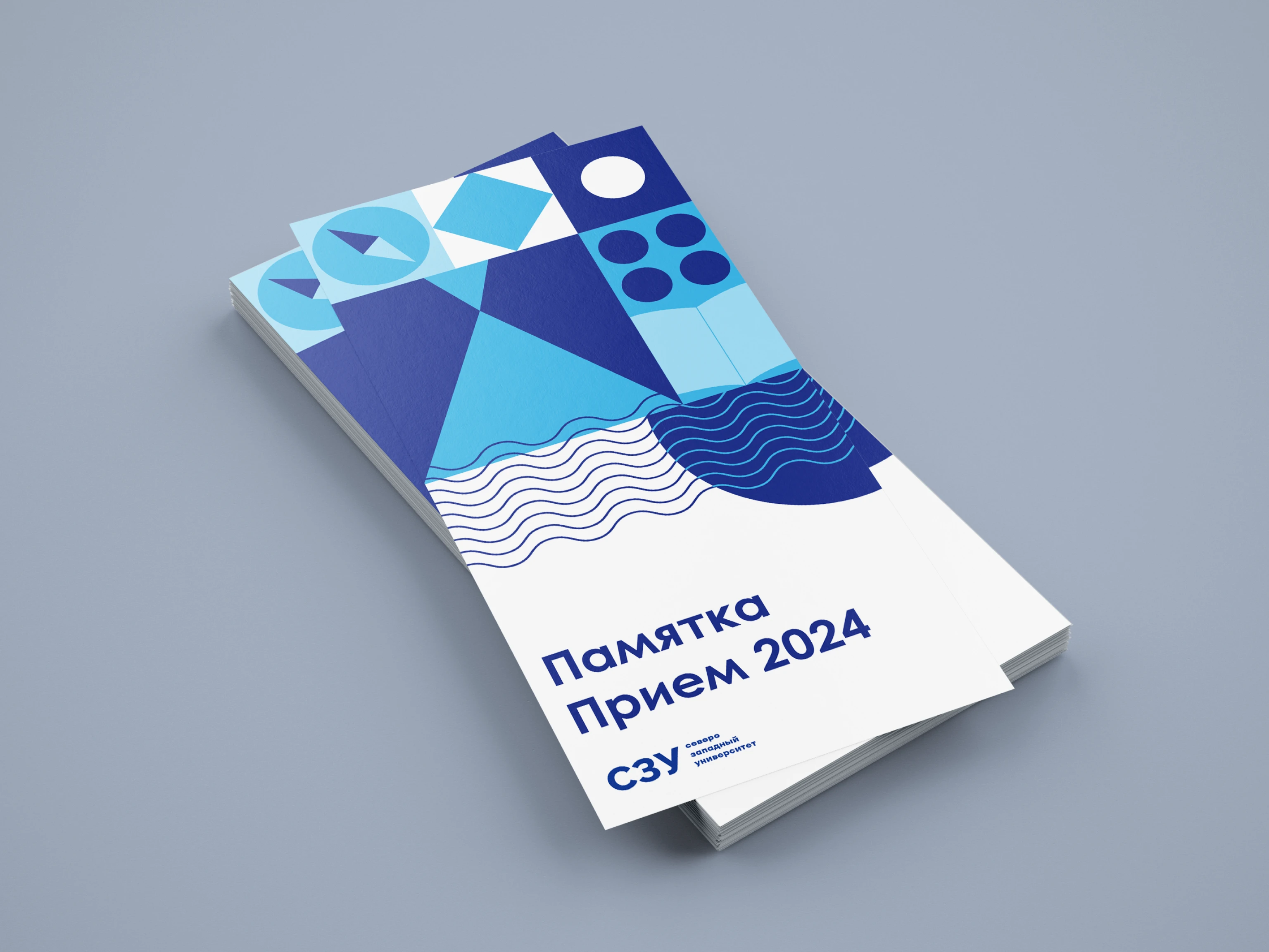 NWU university identity | айдентика вуза СЗУ — Изображение №7 — Брендинг, Графика на Dprofile