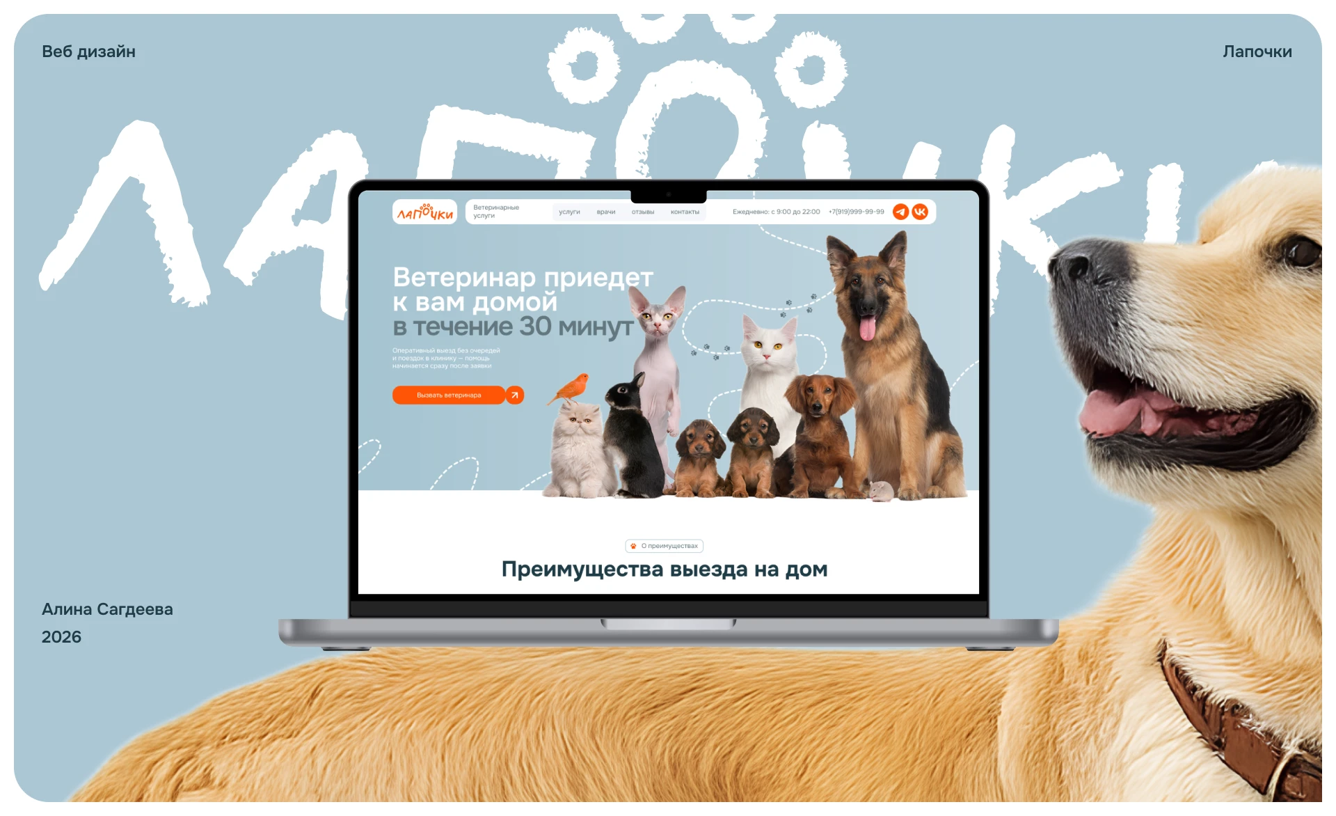 Дизайн сайта ветеринарной помощи на дому — Изображение №1 — Интерфейсы, Брендинг на Dprofile