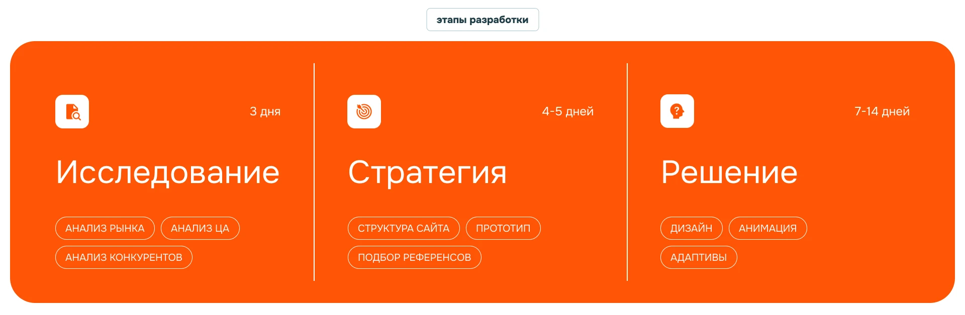 Дизайн сайта ветеринарной помощи на дому — Изображение №3 — Интерфейсы, Брендинг на Dprofile