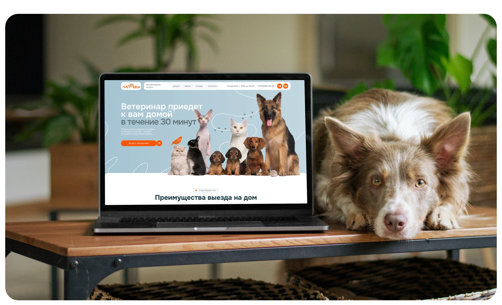 Дизайн сайта ветеринарной помощи на дому — Изображение №10 — Интерфейсы, Брендинг на Dprofile