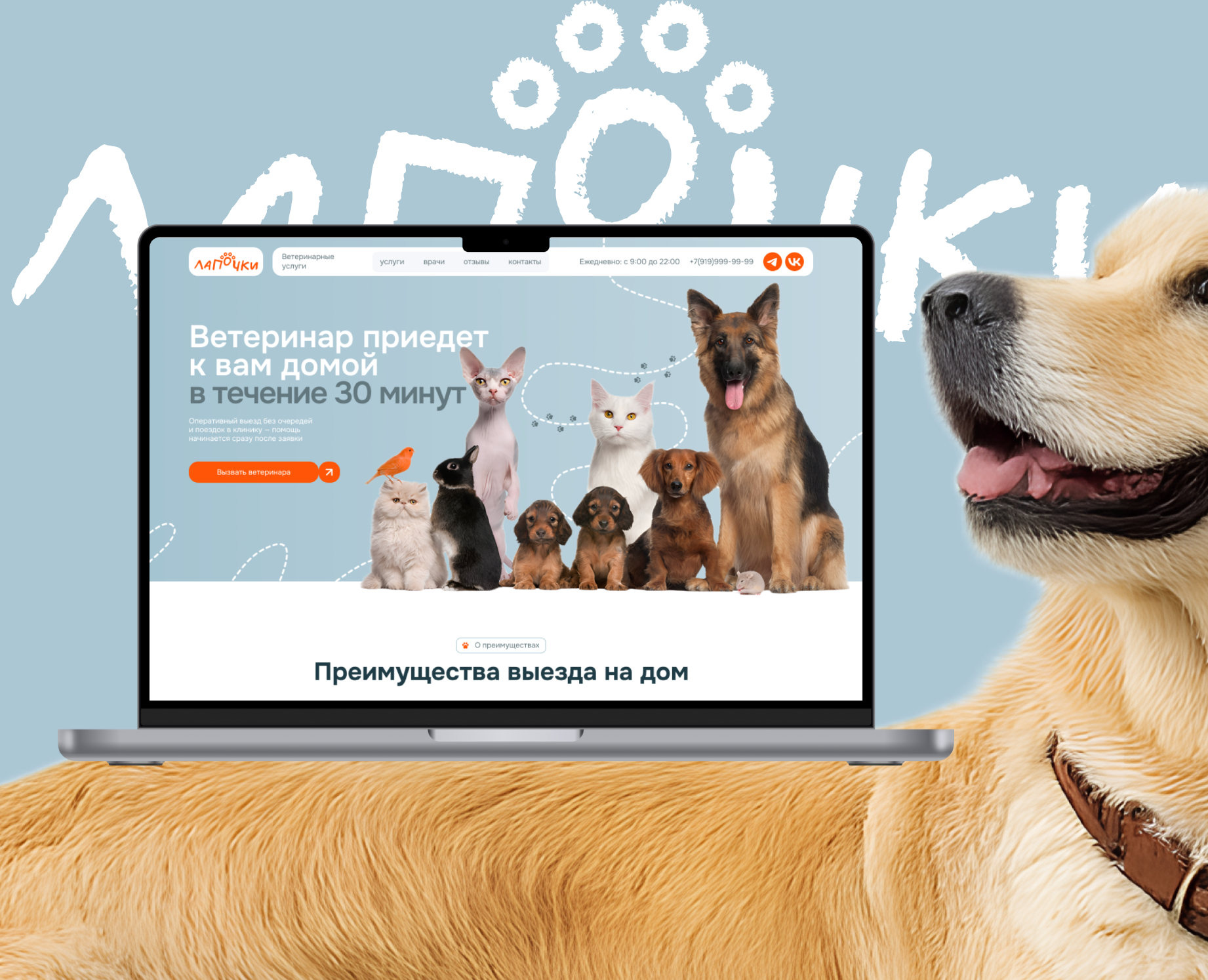 Дизайн сайта ветеринарной помощи на дому на Dprofile