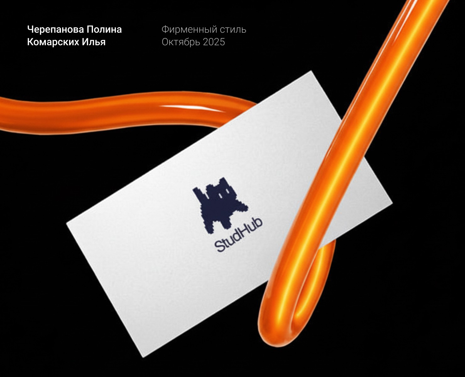 StudHub Corporate Identity — Брендинг, Графика на Dprofile