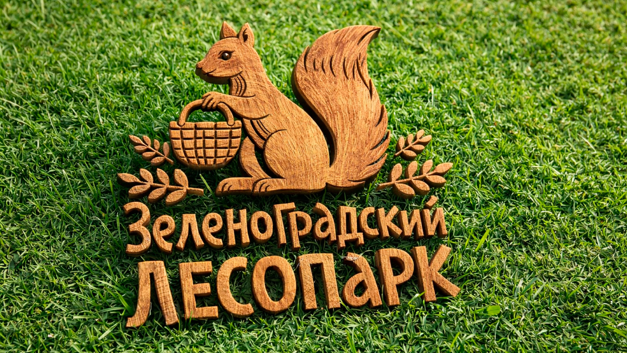 Айдентика для Зеленоградского лесопарка — Изображение №11 — Брендинг на Dprofile