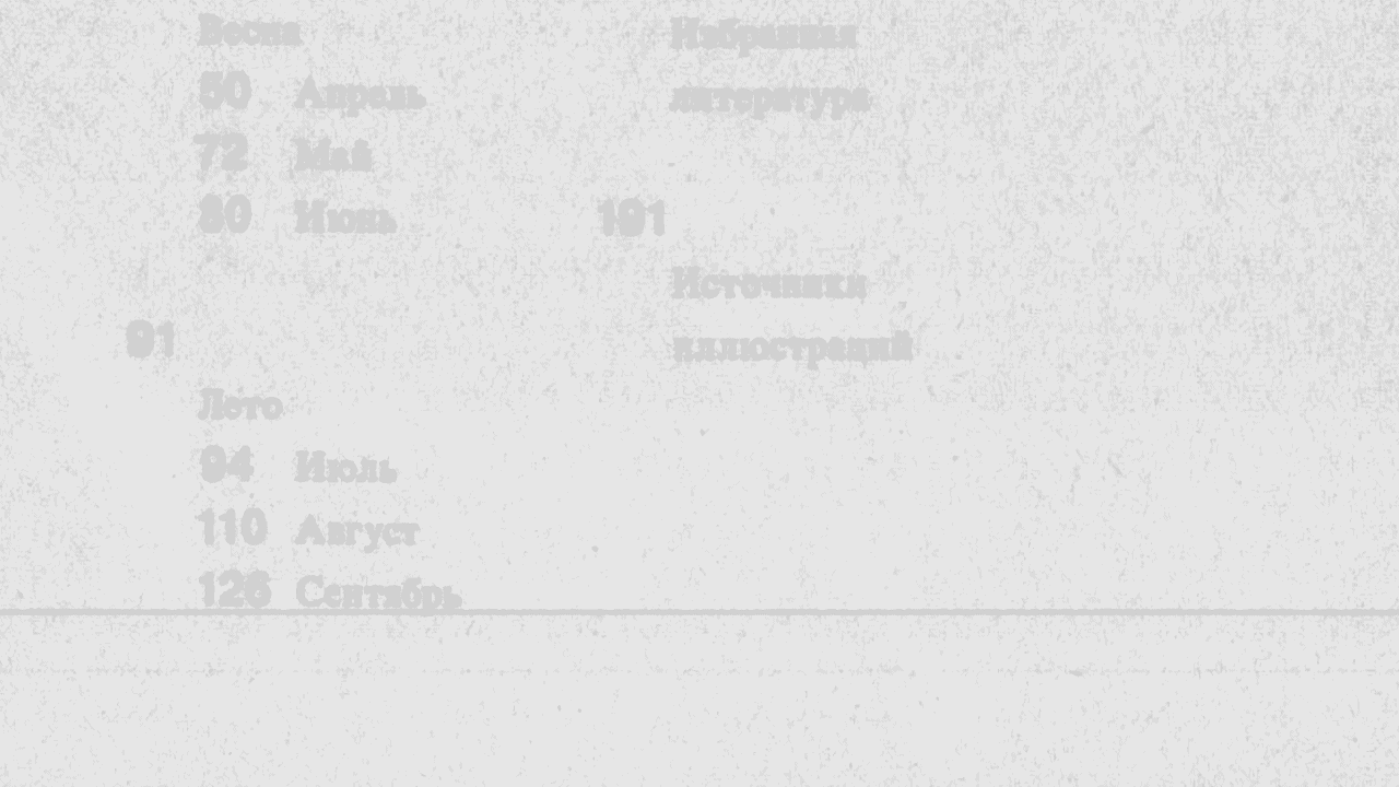 FABULA/ БРЕНДИНГ/ КНИГИ/ МОУШН — Изображение №1 — Брендинг, Анимация на Dprofile