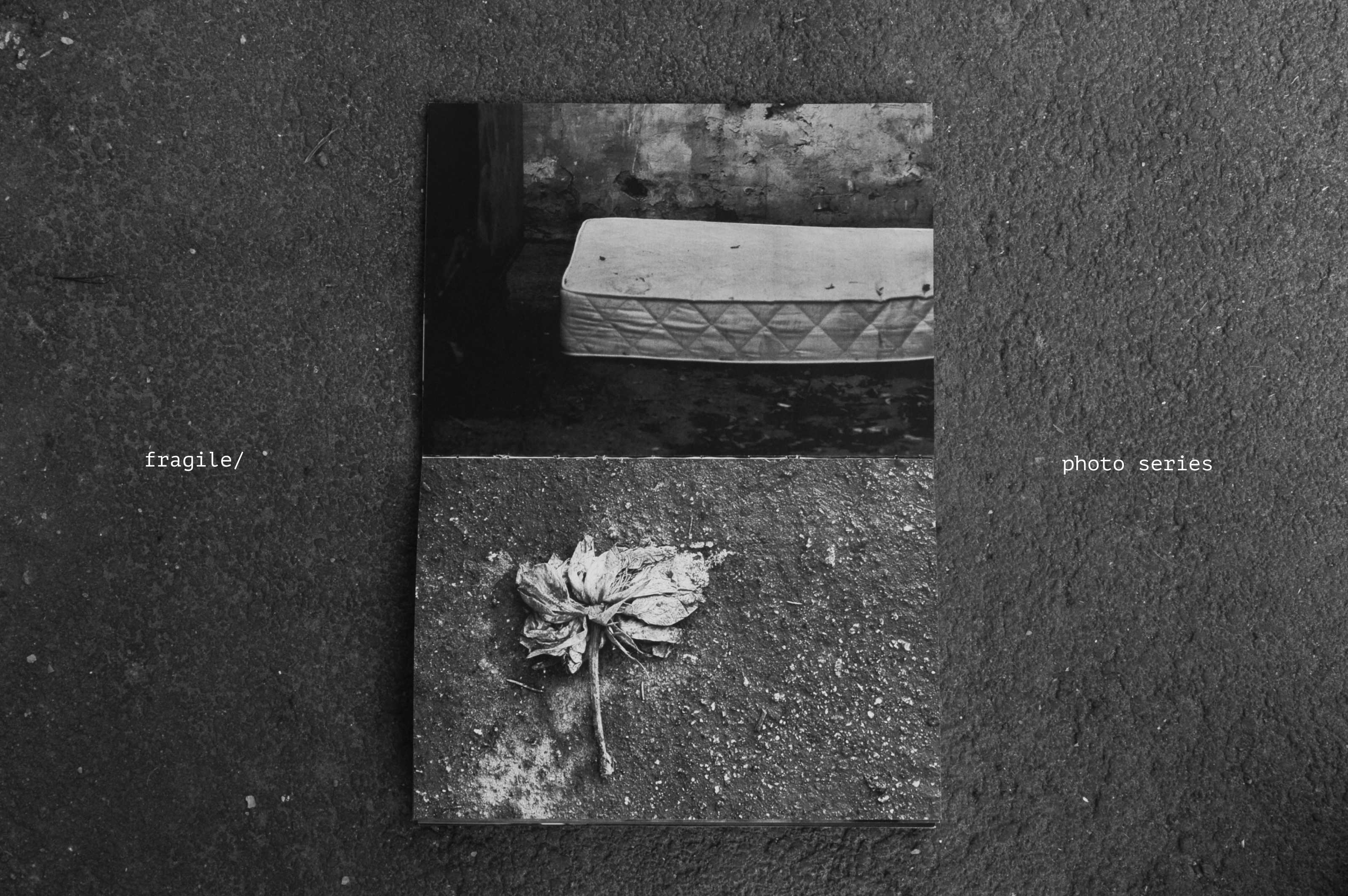 fragile/ photo series — Изображение №1 — Графика на Dprofile