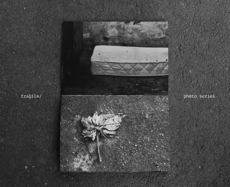 fragile/ photo series на Dprofile