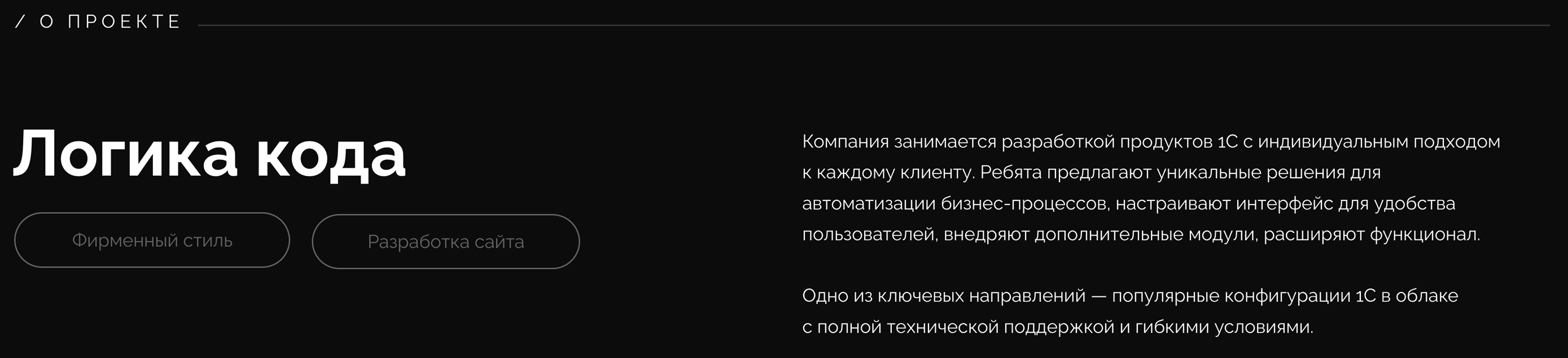 Логика кода. Фирменный стиль и сайт — Изображение №2 — Интерфейсы, Брендинг на Dprofile