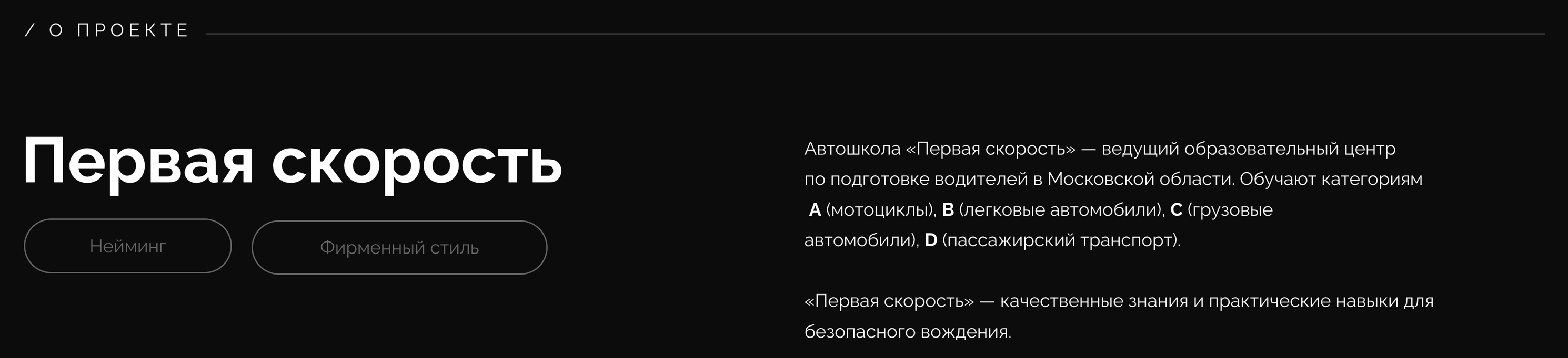 Первая скорость. Нейминг и фирменный стиль — Изображение №2 — Брендинг, Маркетинг на Dprofile