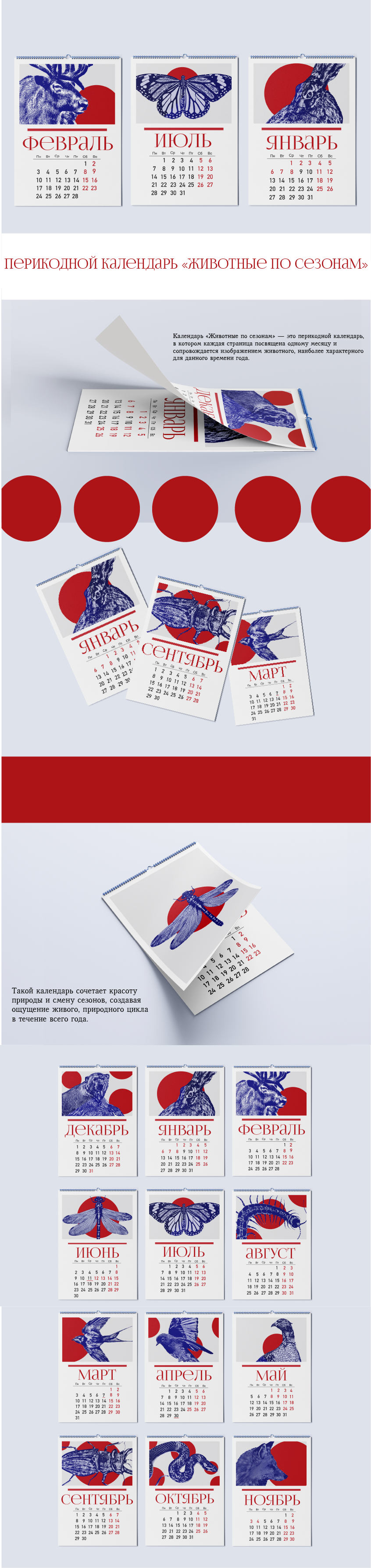 Перекидной календарь " Животные по сезонам" — Изображение №1 — Интерфейсы, Брендинг на Dprofile