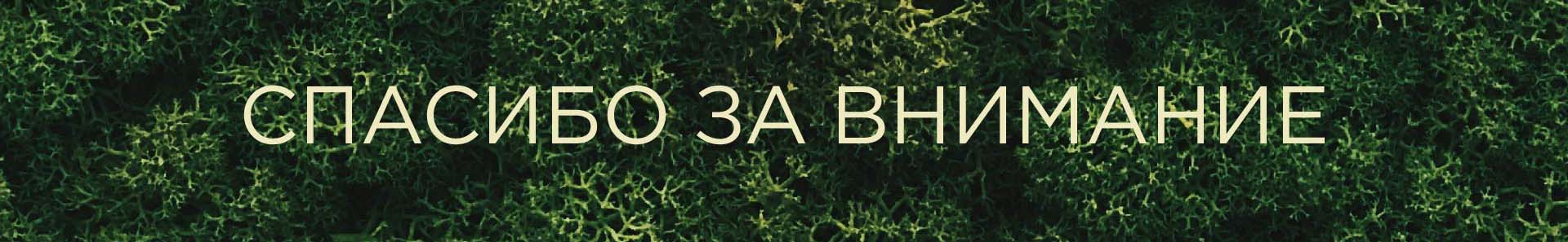 Кофейня Sofffa минимальный фирменный стиль — Изображение №14 — Брендинг, Графика на Dprofile
