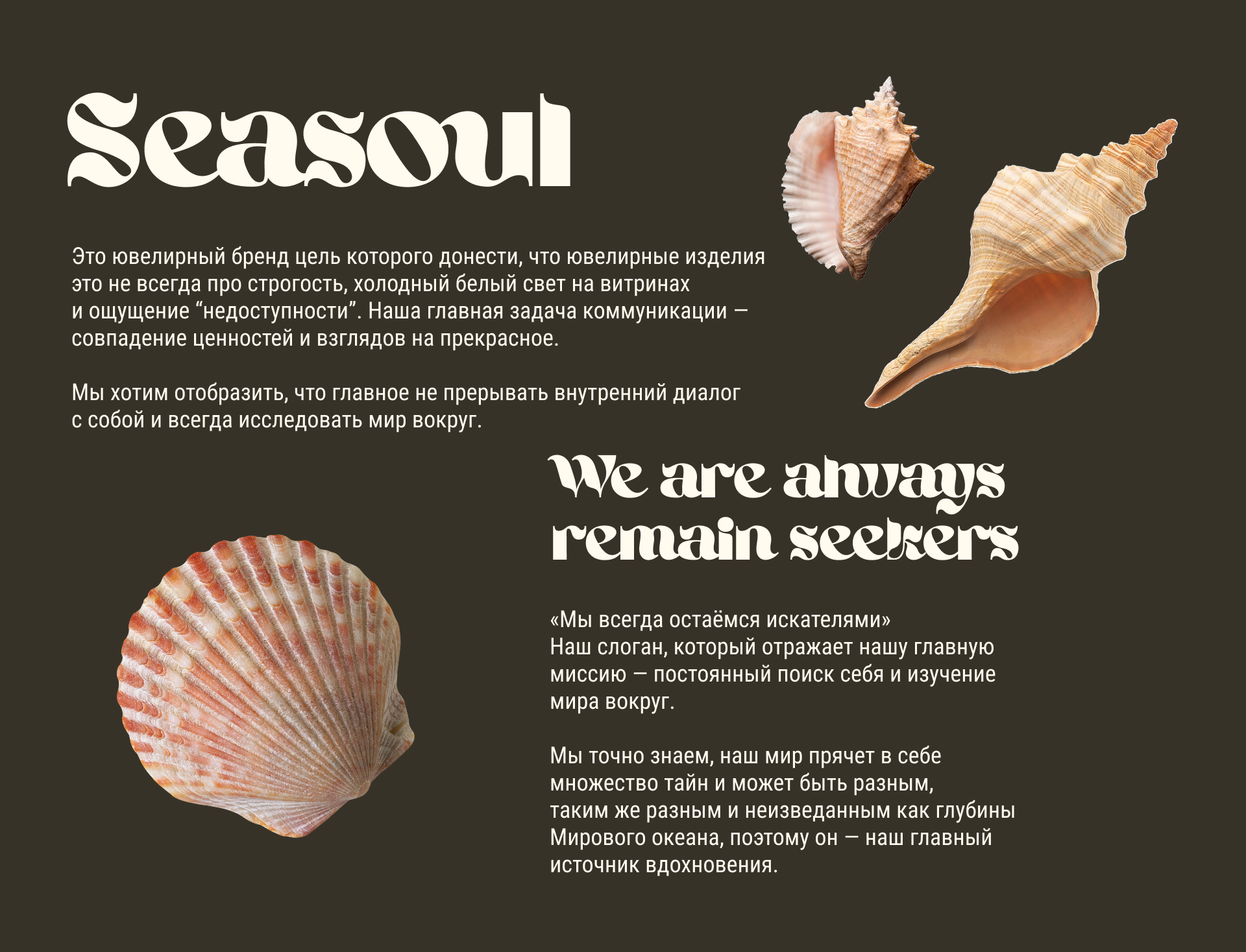 Seasoul jewelry — Изображение №1 — Брендинг на Dprofile
