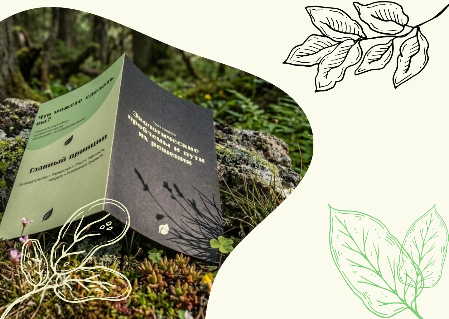 Экологический буклет — Изображение №4 — Графика, Промдизайн на Dprofile