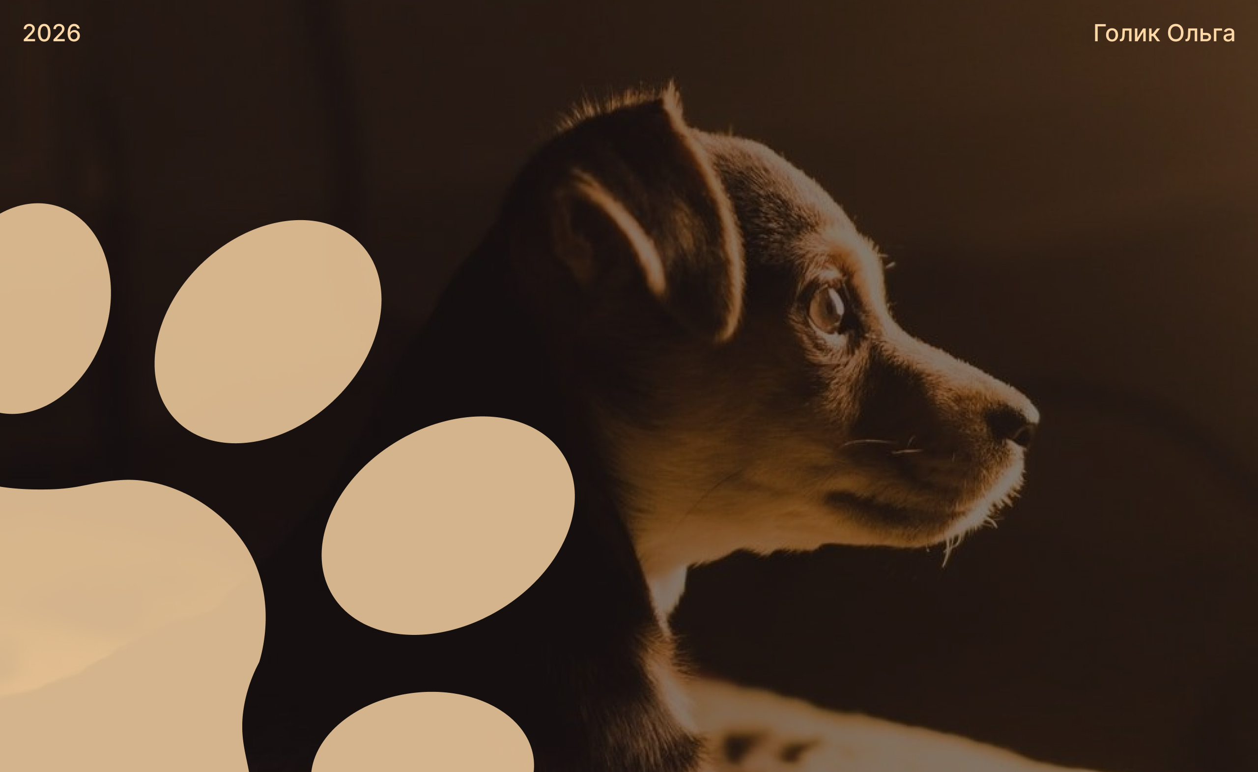 PET SLEPPOWER — Изображение №10 — Брендинг на Dprofile