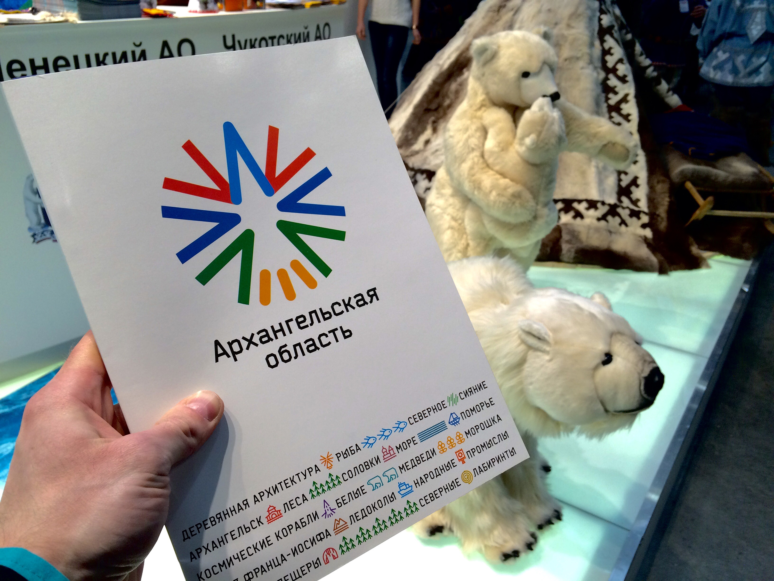 Логотип и стиль Архангельской области — Изображение №12 — Брендинг на Dprofile