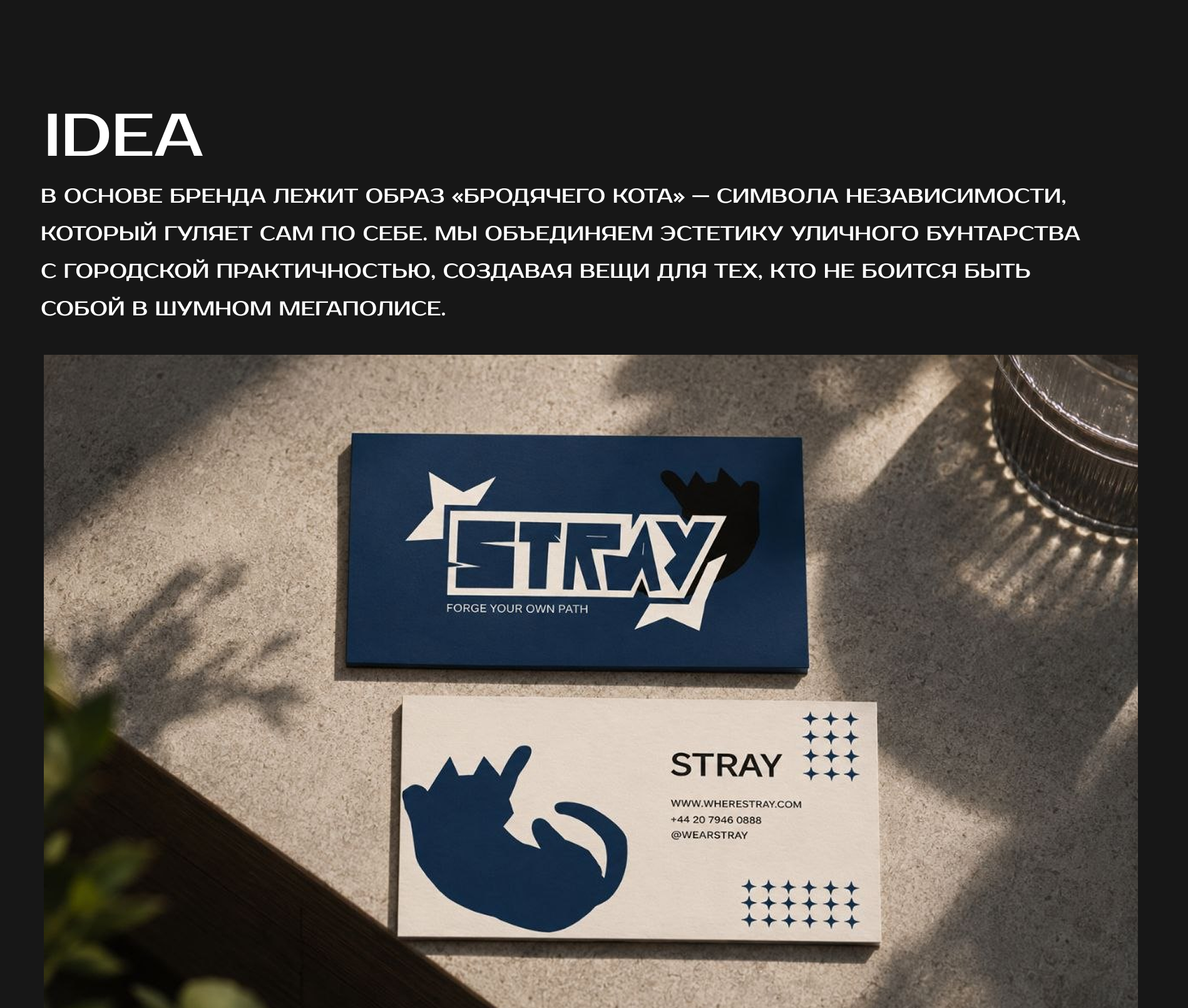 STRAY — Изображение №8 — Интерфейсы, Брендинг на Dprofile
