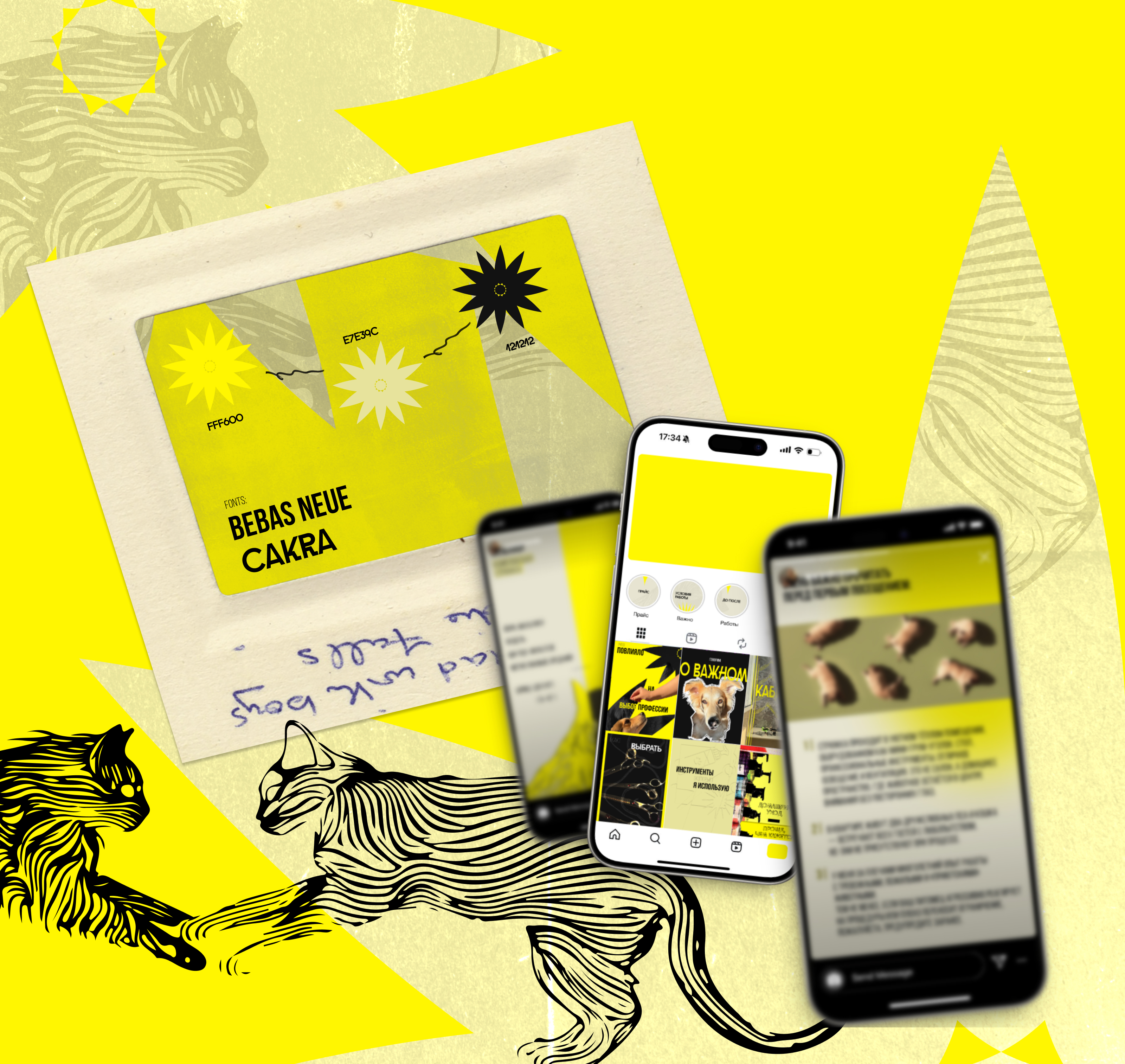 groomer's social media — Изображение №6 — Брендинг, Графика на Dprofile