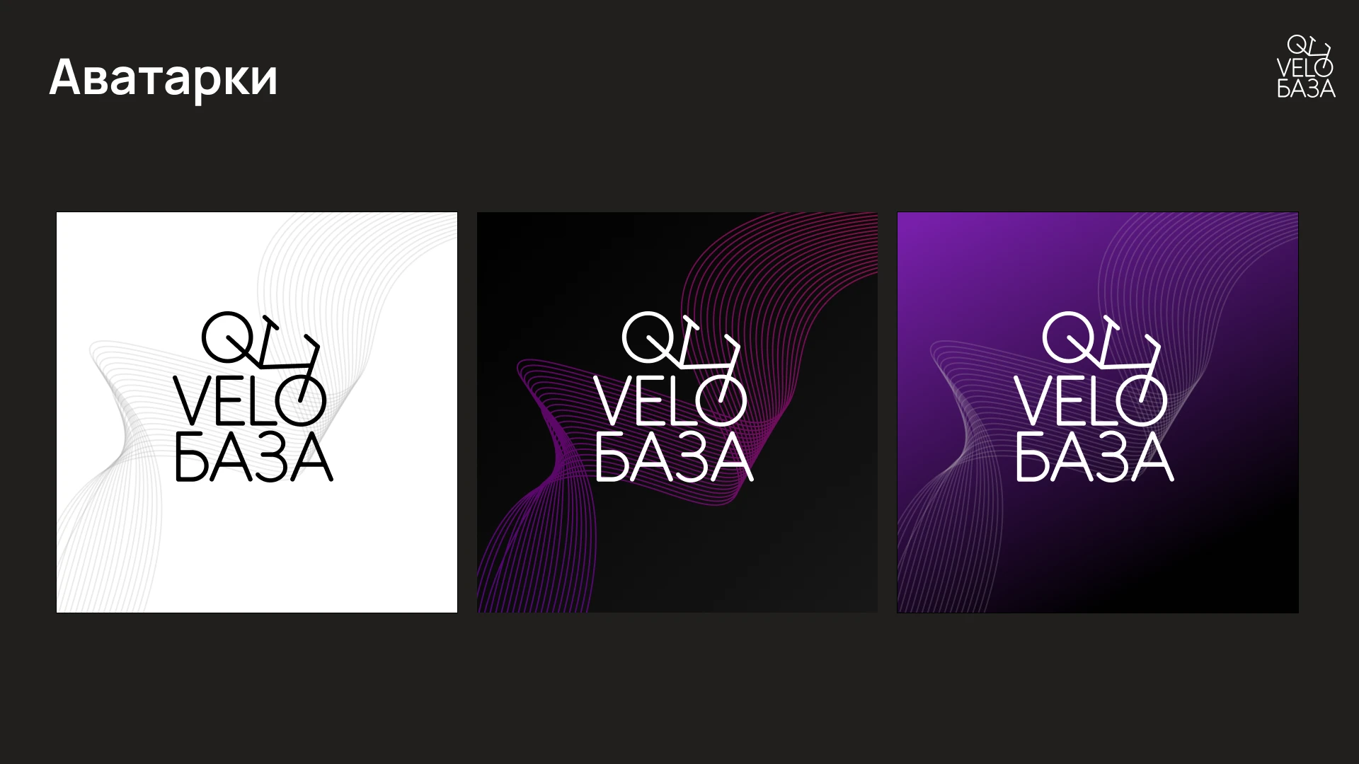 Разработка брендинга для "VeloБаза" — Изображение №54 — Брендинг на Dprofile