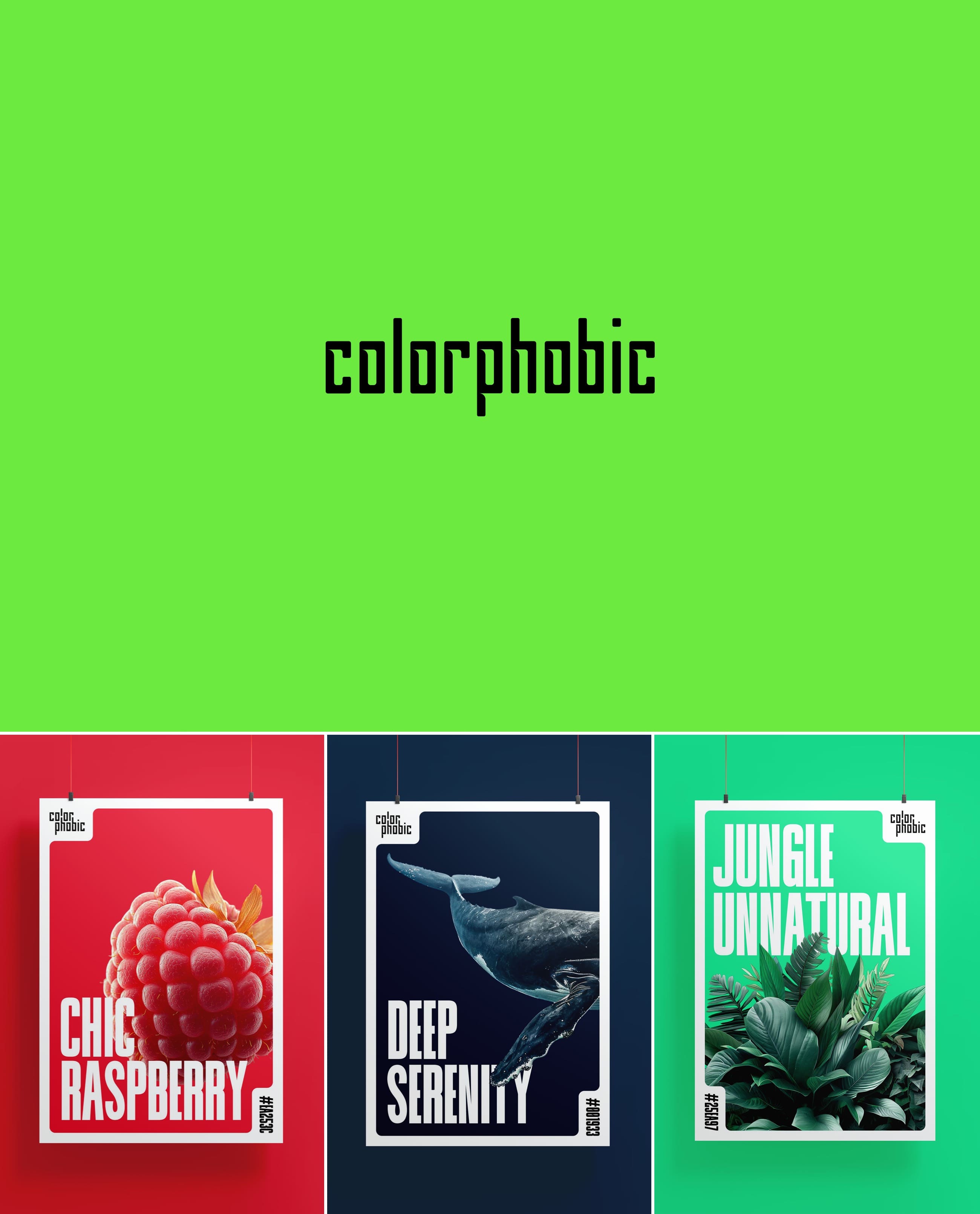 Логофолио / Часть 2 — Изображение №4 — Брендинг на Dprofile