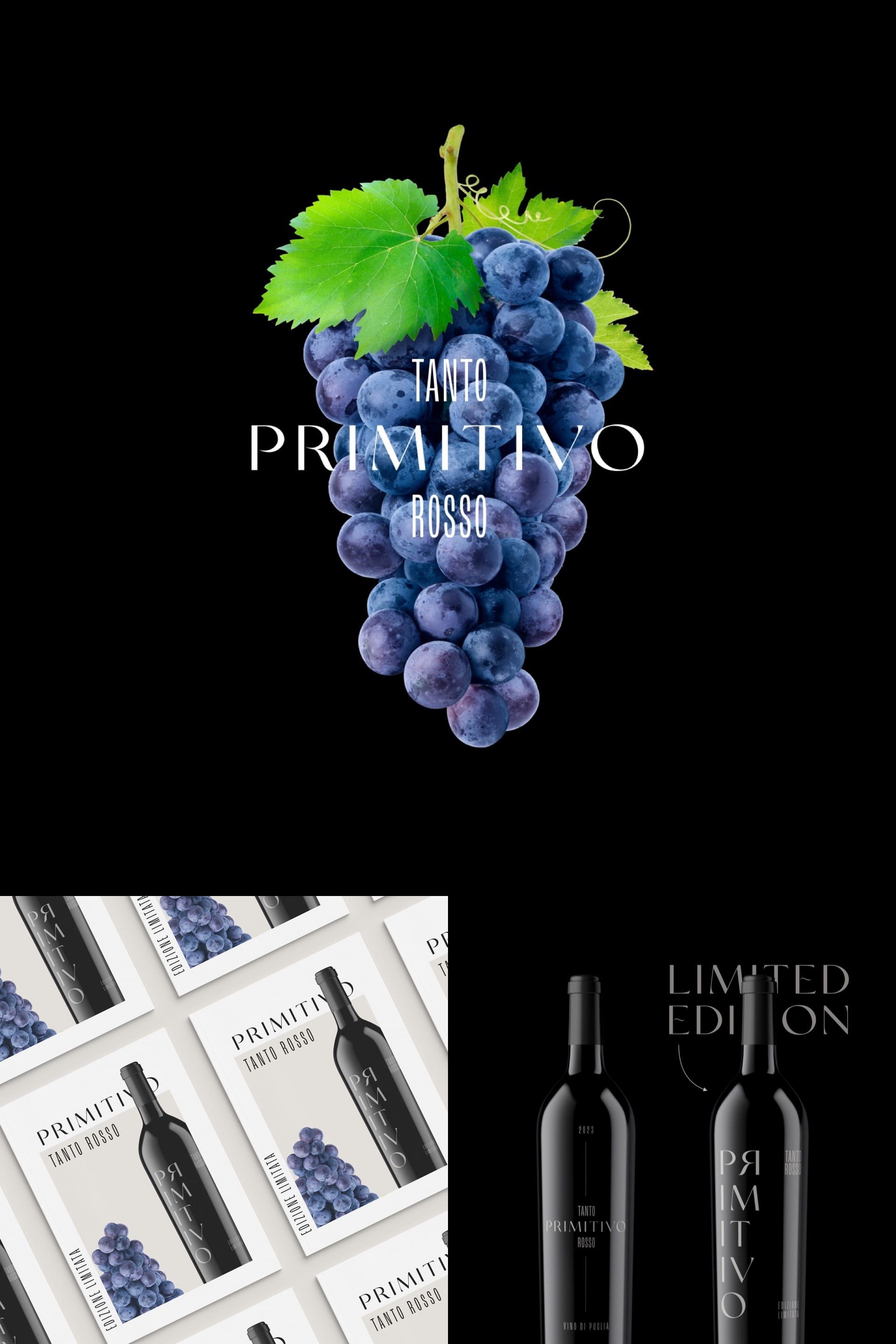 Лого портфолио 2026 — Изображение №12 — Брендинг на Dprofile