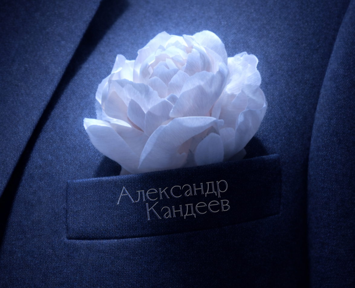 Кандеев | баннеры — Интерфейсы, Брендинг на Dprofile