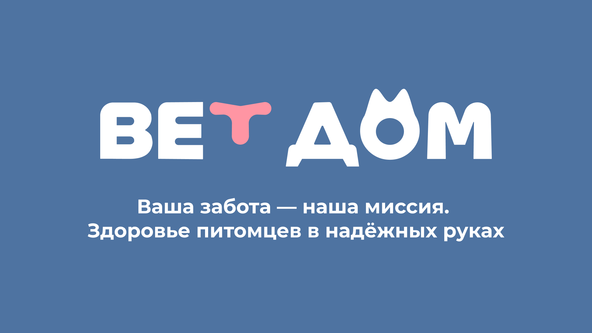 ВЕТДОМ — Изображение №3 — Интерфейсы на Dprofile