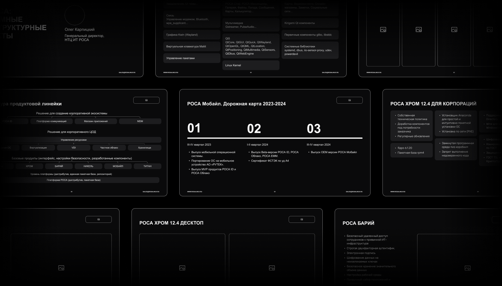 Два стиля, один проект: как я упаковал РОСА — Изображение №6 — Брендинг, Графика на Dprofile