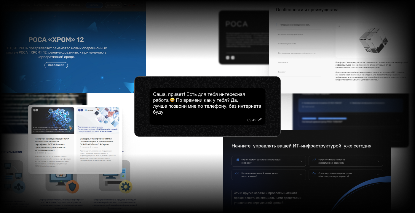 Два стиля, один проект: как я упаковал РОСА — Изображение №4 — Брендинг, Графика на Dprofile