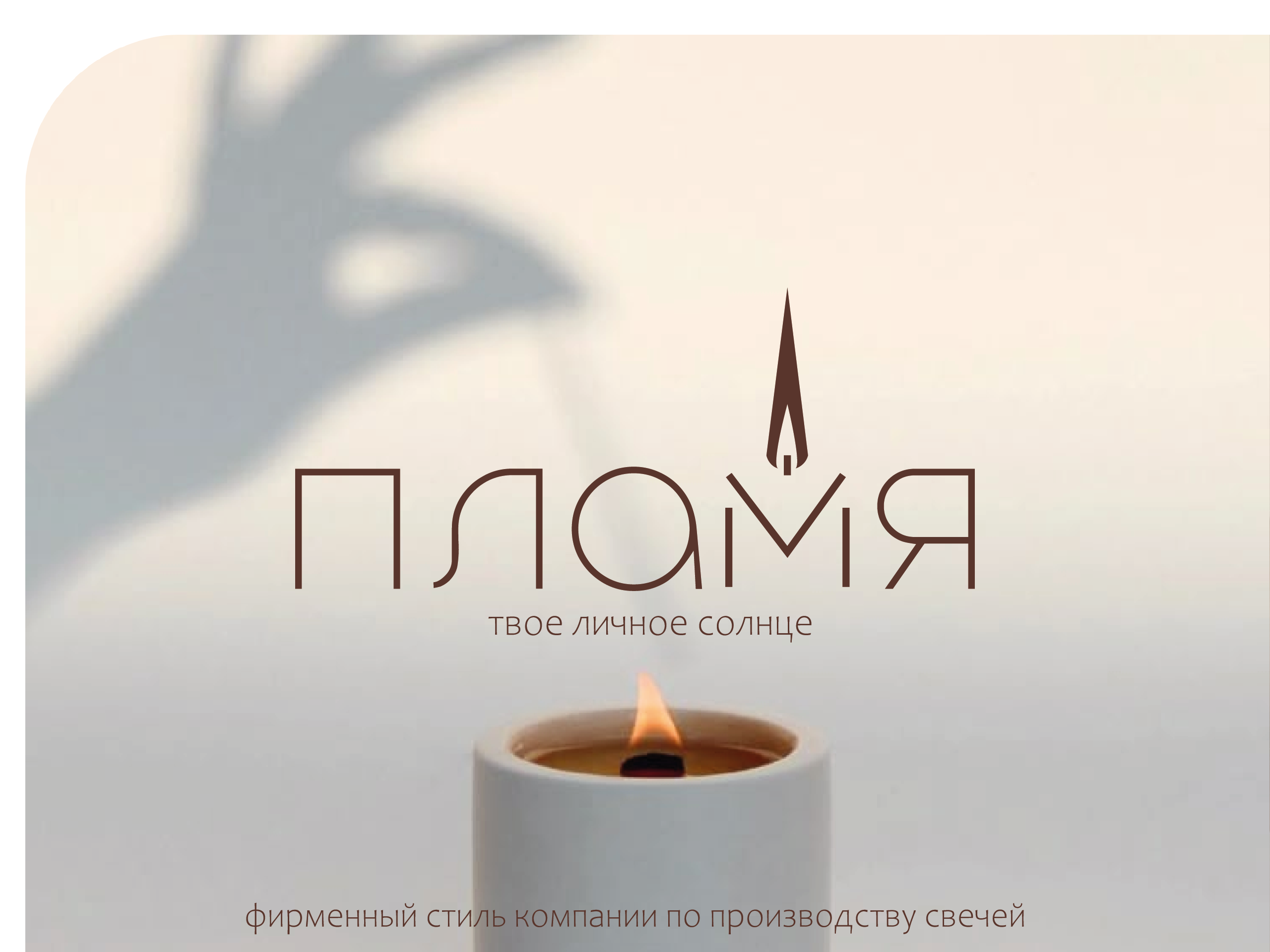 Фирменный стиль компании "Пламя" — Изображение №1 — Брендинг, Графика на Dprofile