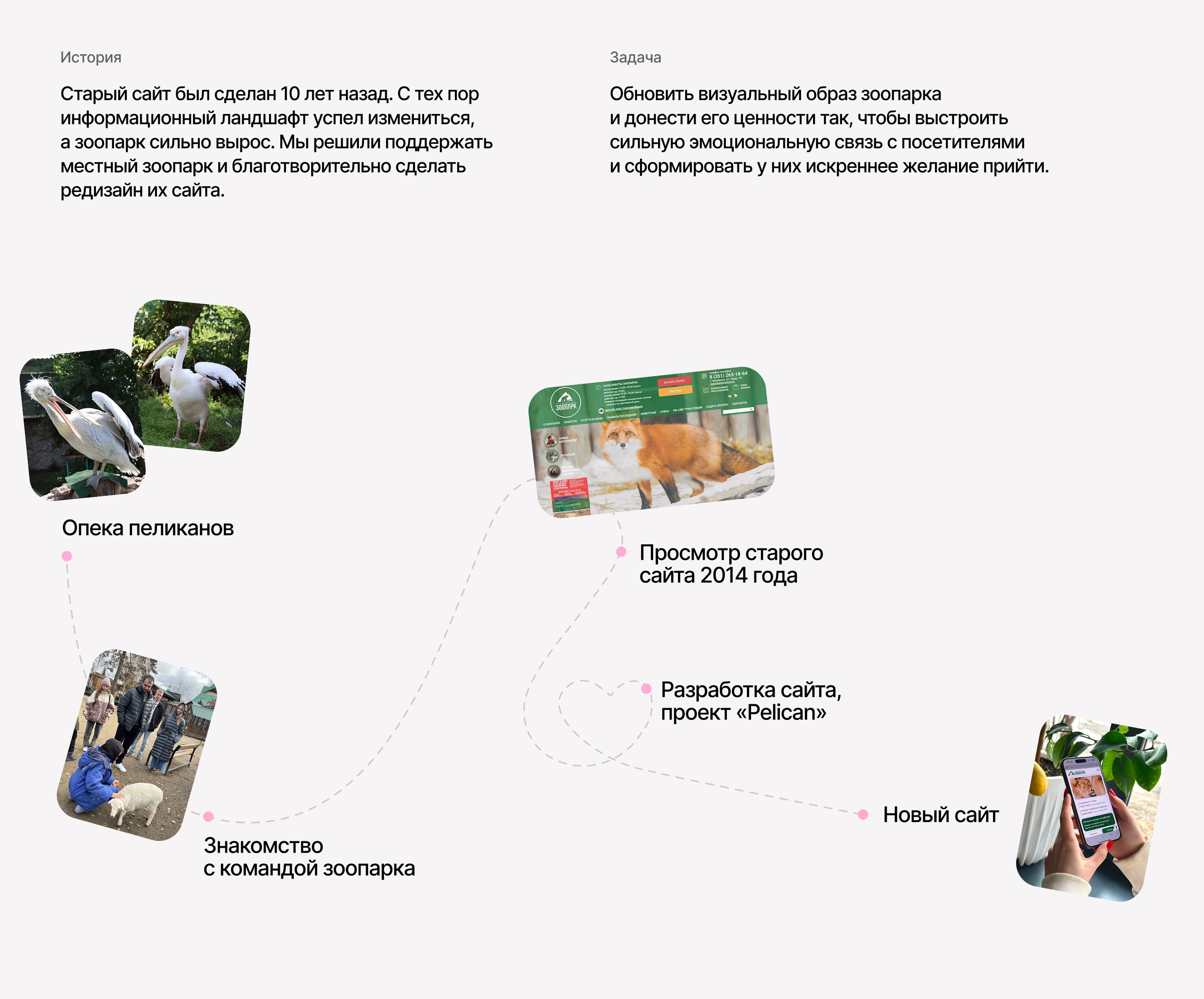 Сайт зоопарка | Редизайн — Изображение №3 — Интерфейсы, Иллюстрация на Dprofile