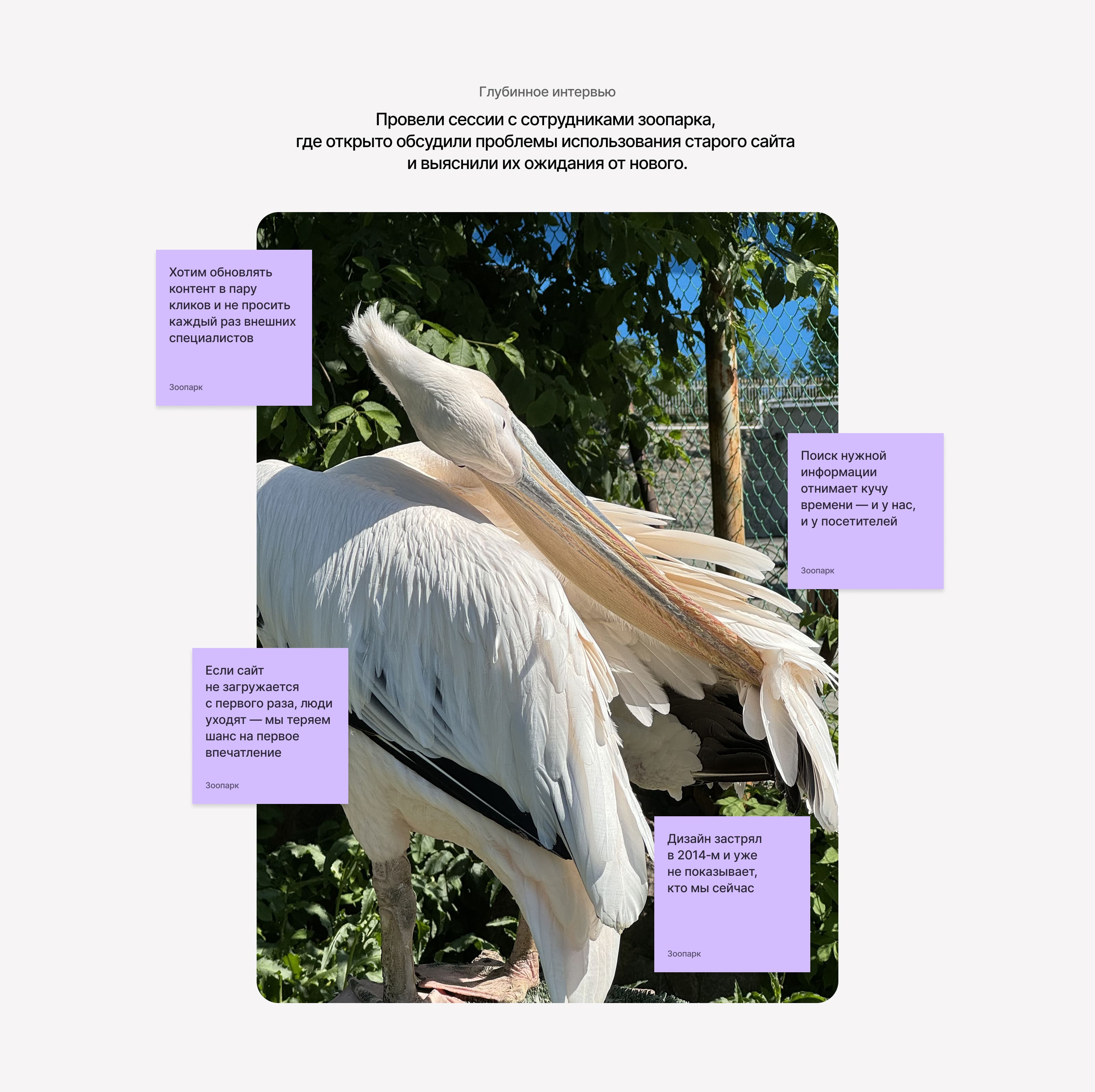 Сайт зоопарка | Редизайн — Изображение №8 — Интерфейсы, Иллюстрация на Dprofile