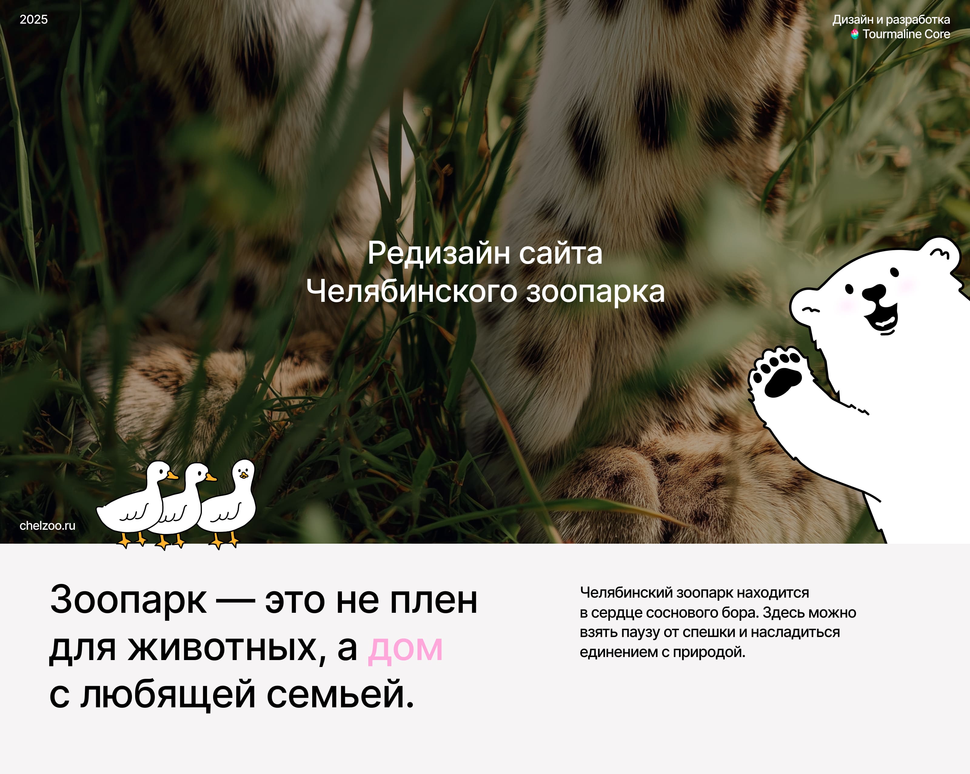 Сайт зоопарка | Редизайн — Изображение №1 — Интерфейсы, Иллюстрация на Dprofile