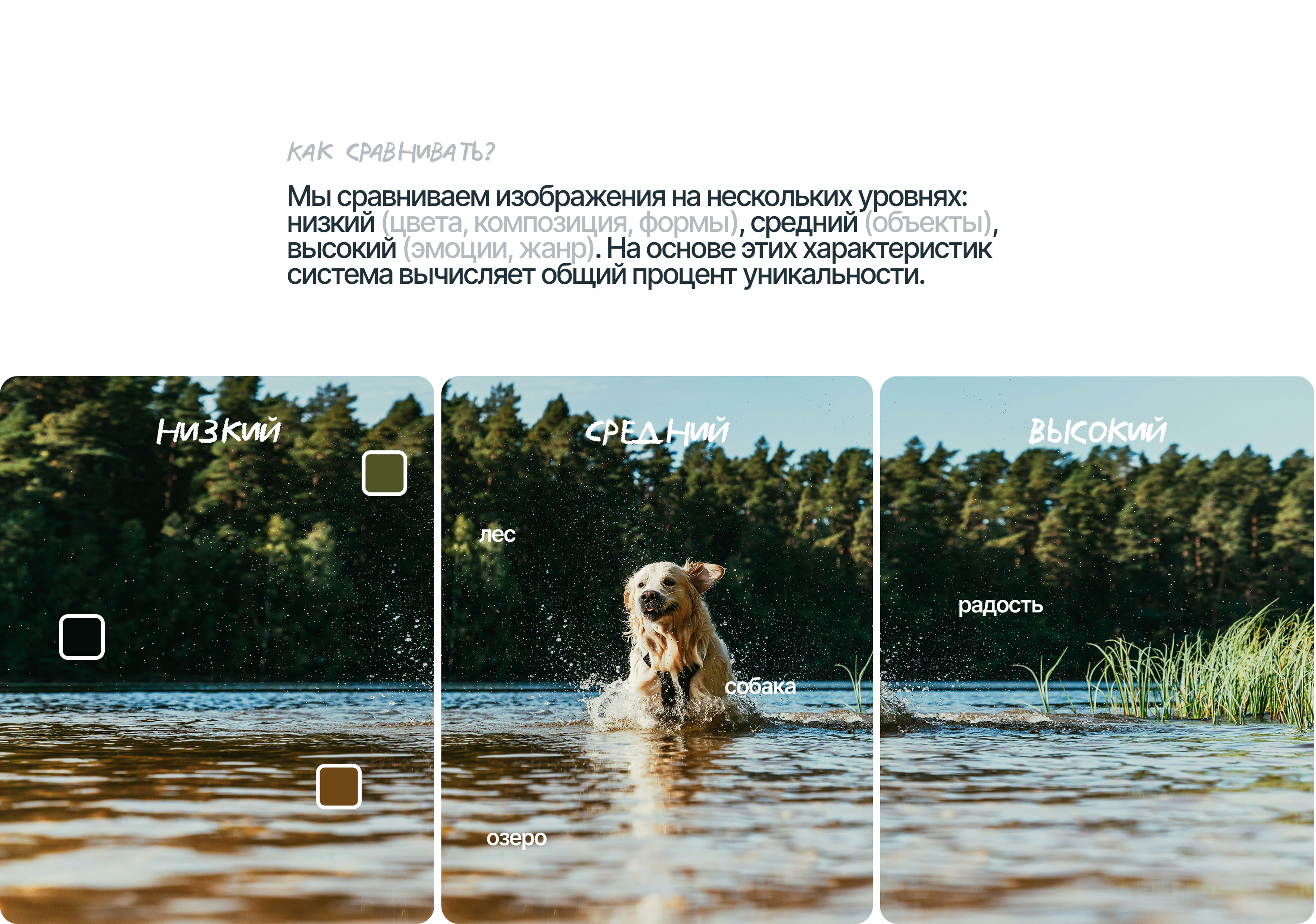 Сервис для определения уникальности фотографий — Изображение №8 — Интерфейсы на Dprofile
