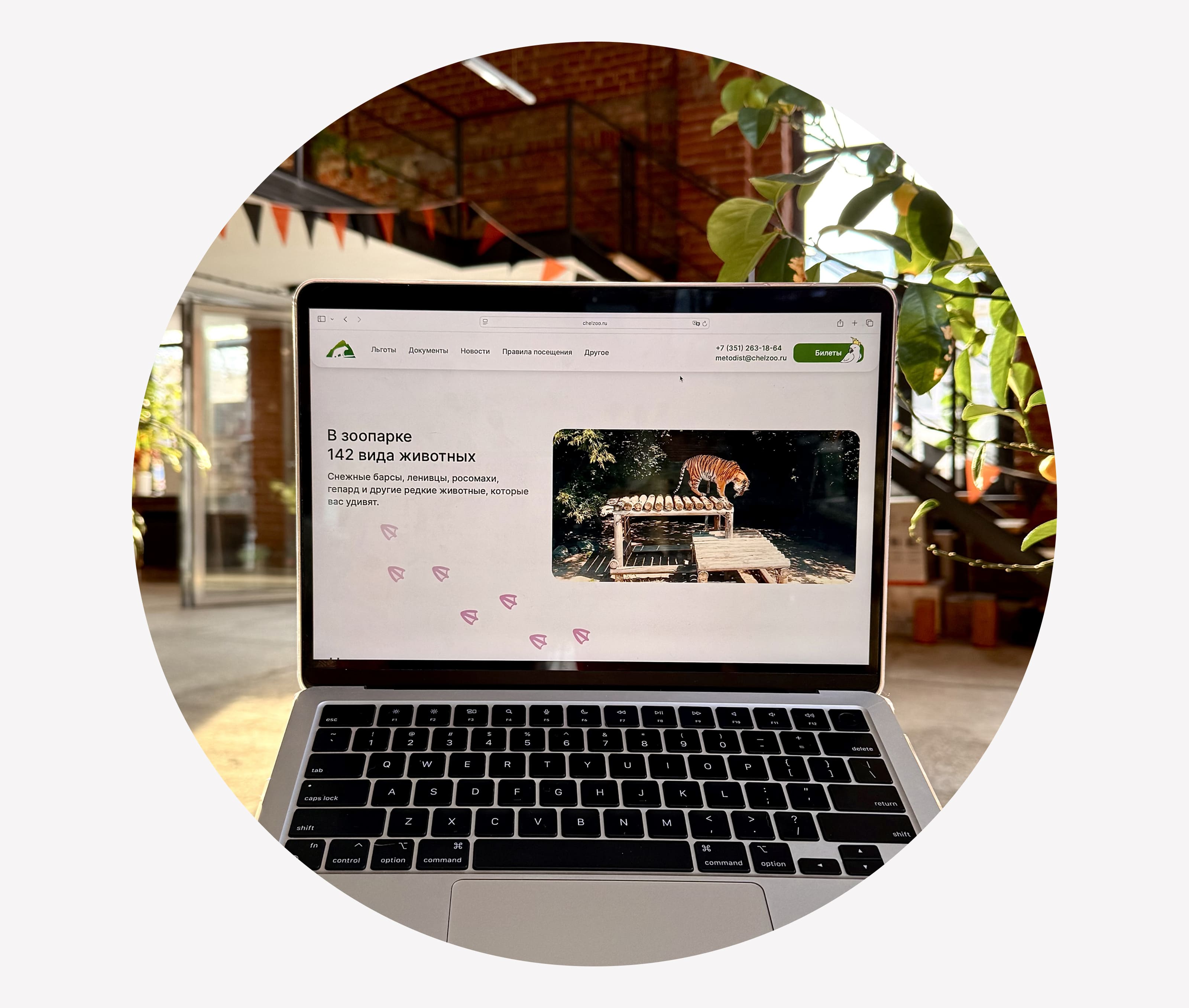 Сайт зоопарка | Редизайн — Изображение №6 — Интерфейсы, Иллюстрация на Dprofile