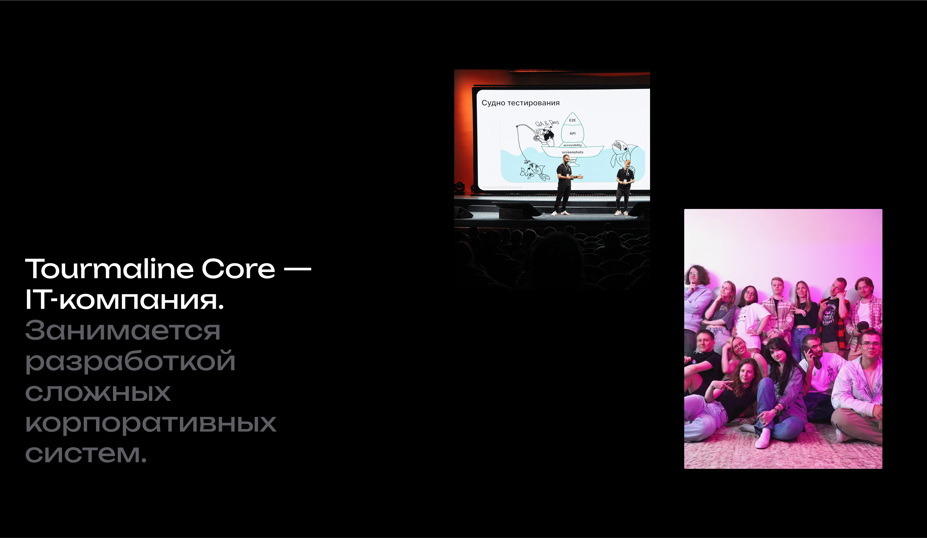 Tourmaline Core | Корпоративный сайт IT-компании — Изображение №2 — Интерфейсы, Брендинг на Dprofile