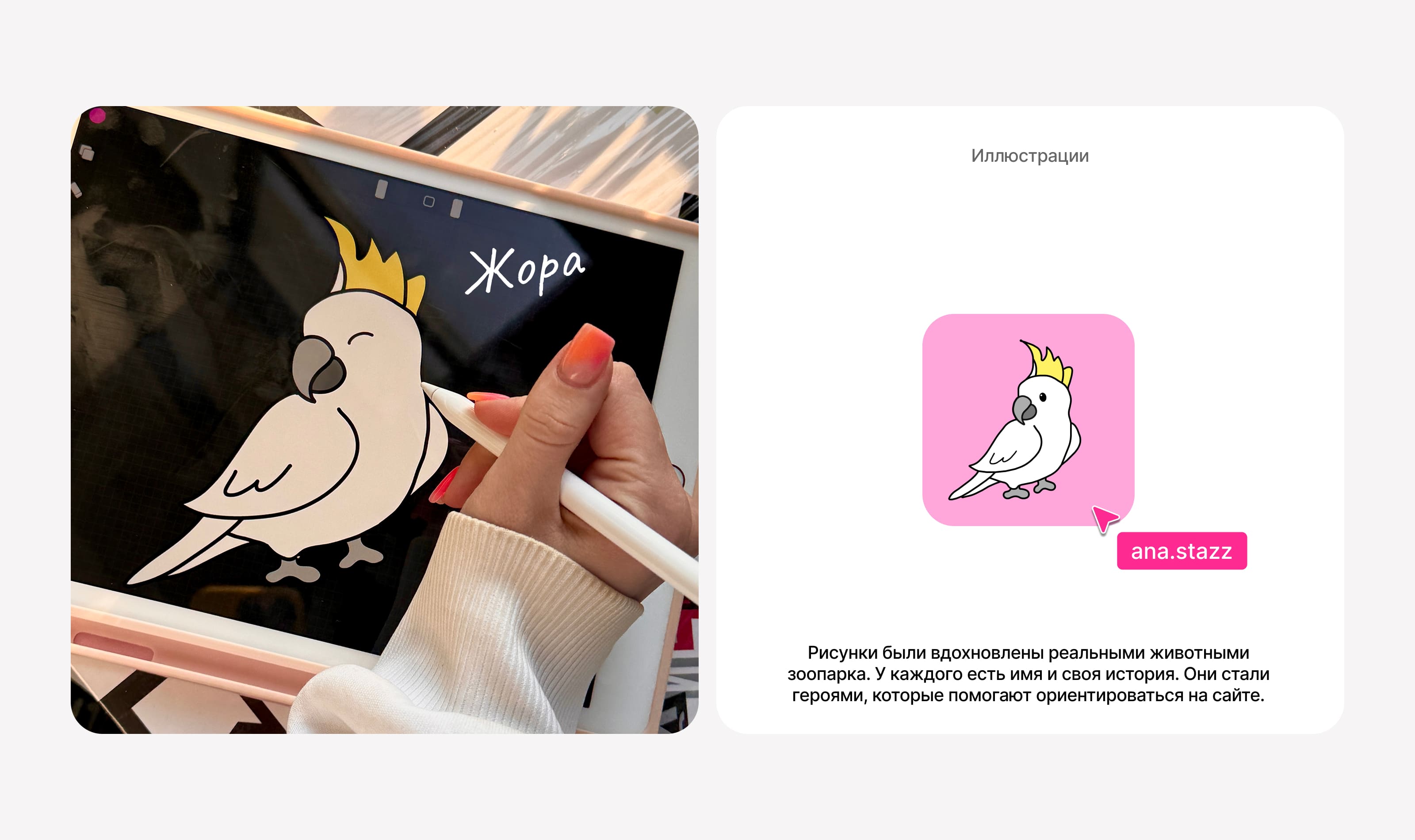 Сайт зоопарка | Редизайн — Изображение №14 — Интерфейсы, Иллюстрация на Dprofile