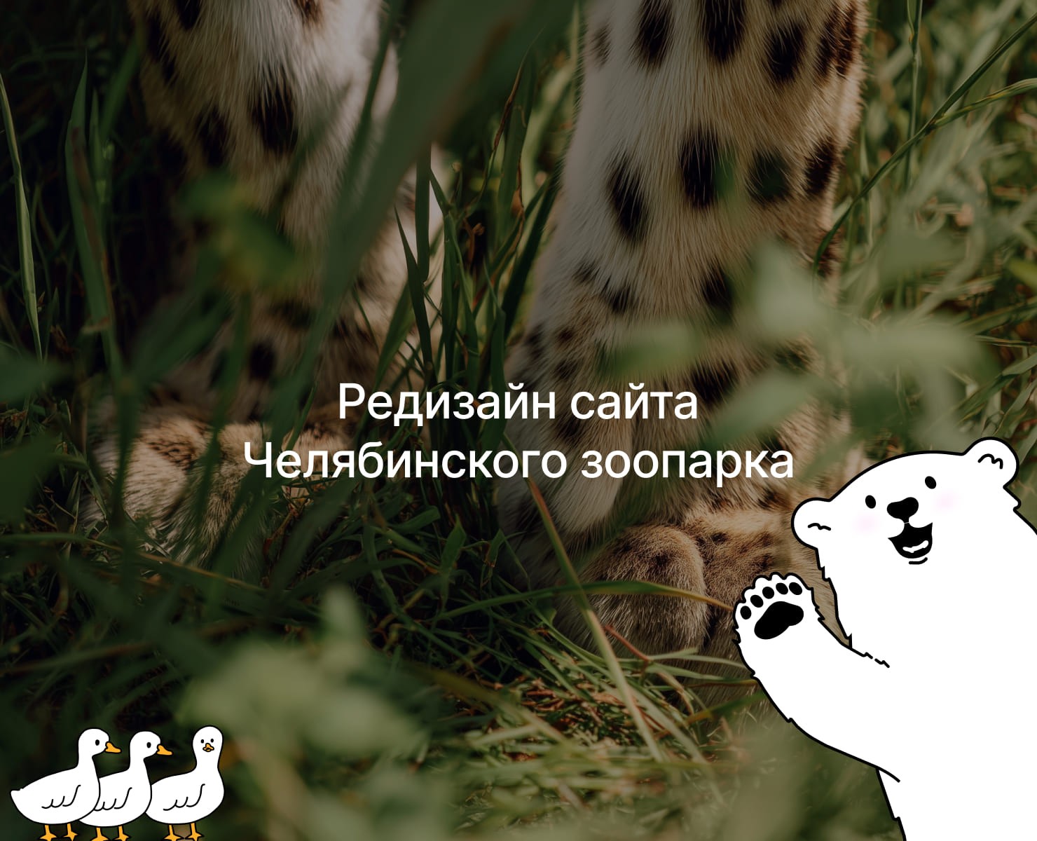 Сайт зоопарка | Редизайн — Интерфейсы, Иллюстрация на Dprofile