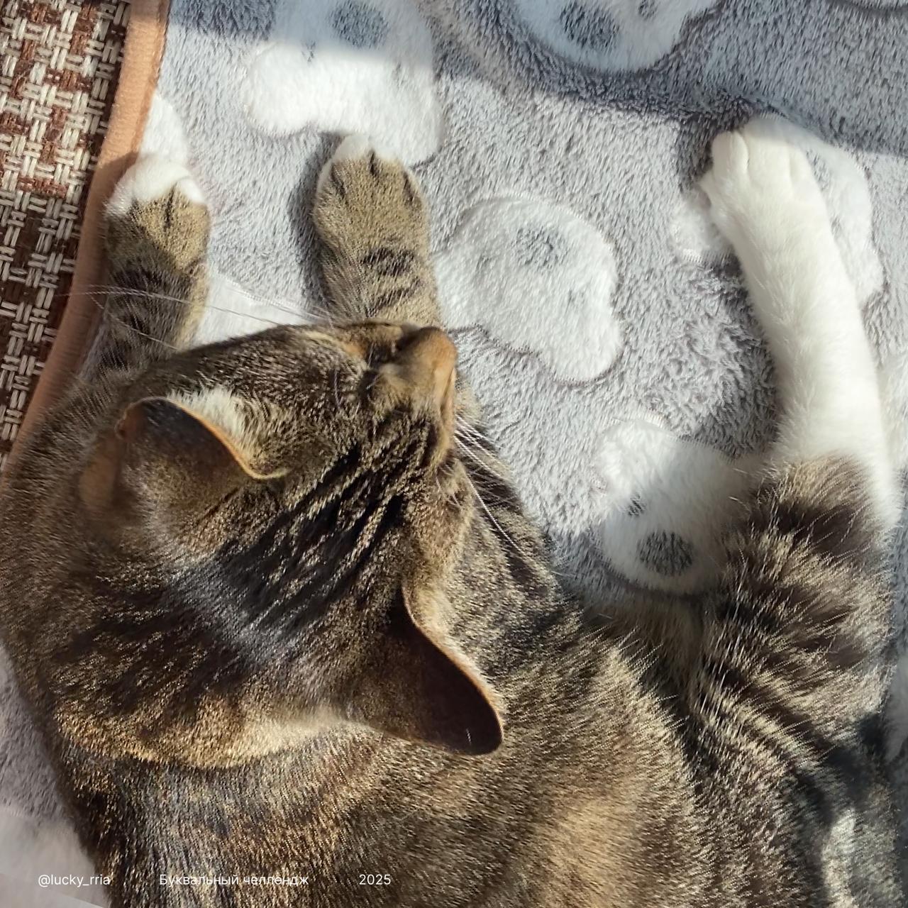 Буквальный челлендж 2025 — Изображение №29 — Иллюстрация, Графика на Dprofile