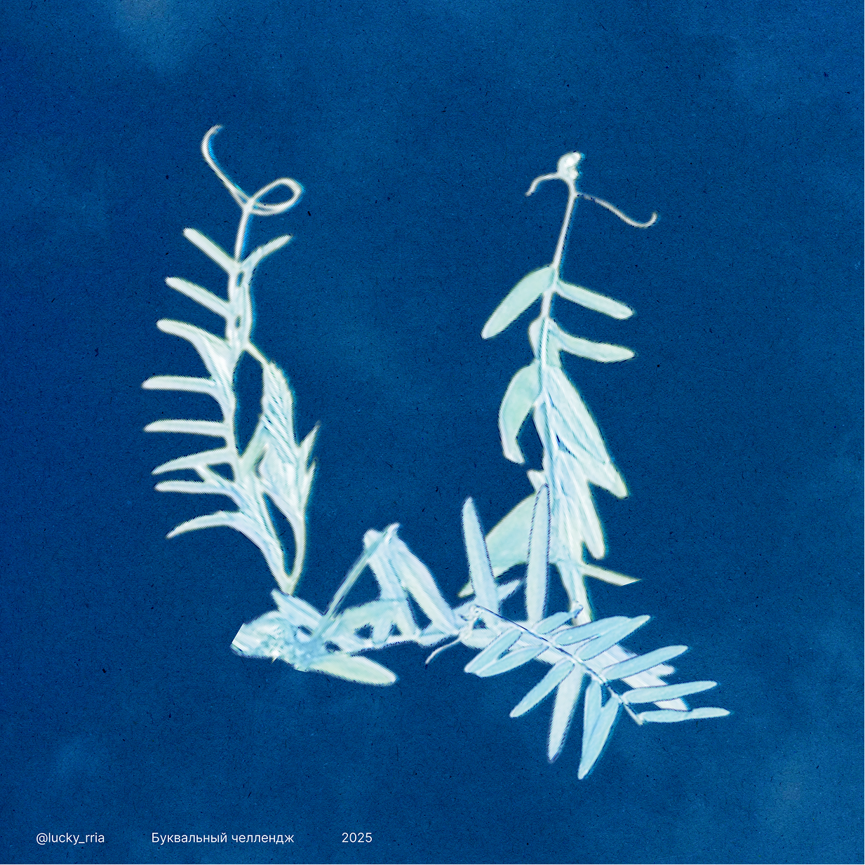 Буквальный челлендж 2025 — Изображение №27 — Иллюстрация, Графика на Dprofile