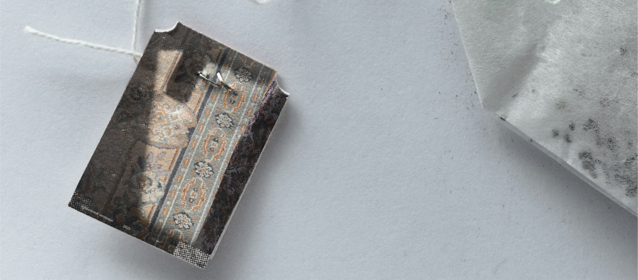 Буквальный челлендж 2025 — Изображение №30 — Иллюстрация, Графика на Dprofile