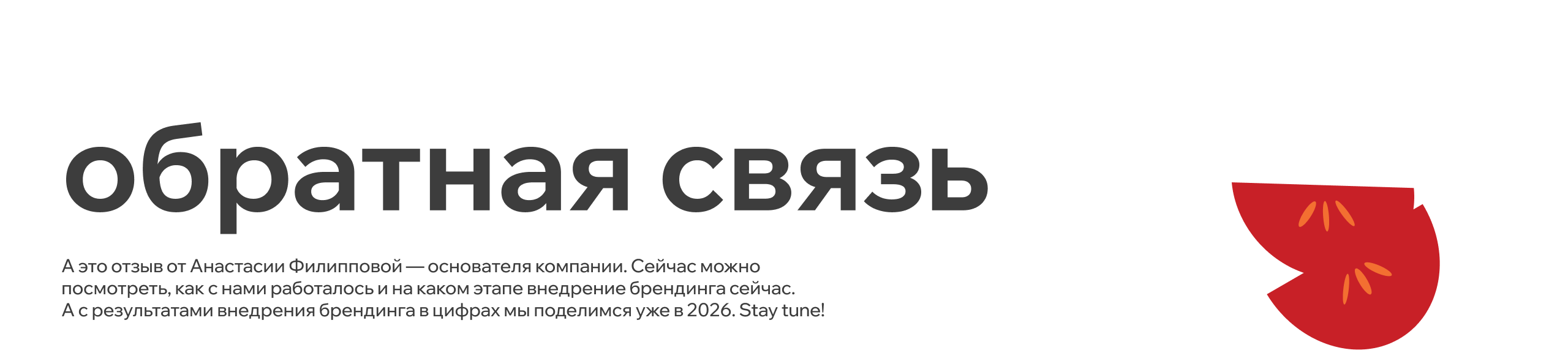 Шоурма | Брендинг сети быстрого питания — Изображение №38 — Брендинг, Иллюстрация на Dprofile