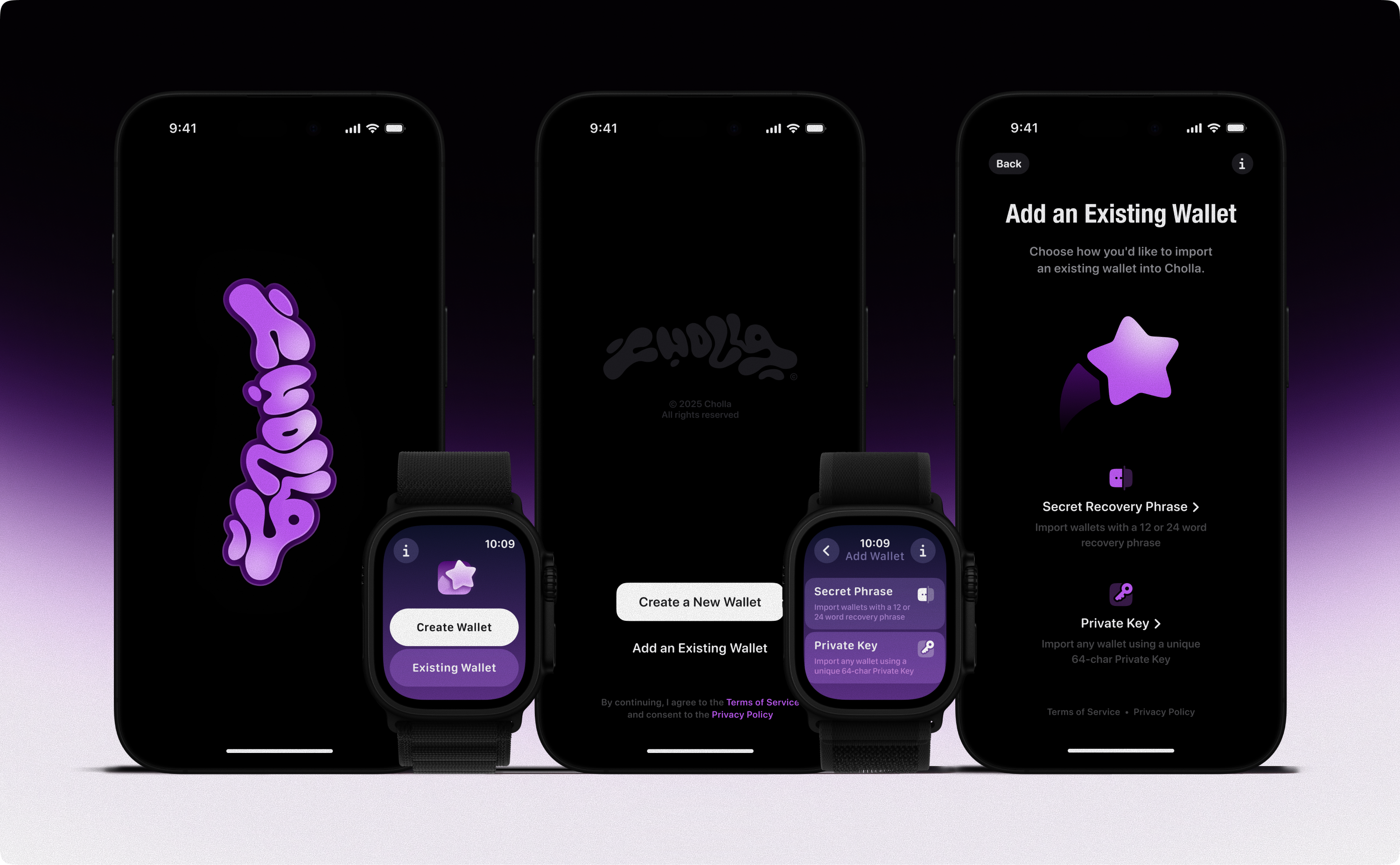 Cholla© Crypto Wallet ✦ — Изображение №4 — Интерфейсы на Dprofile