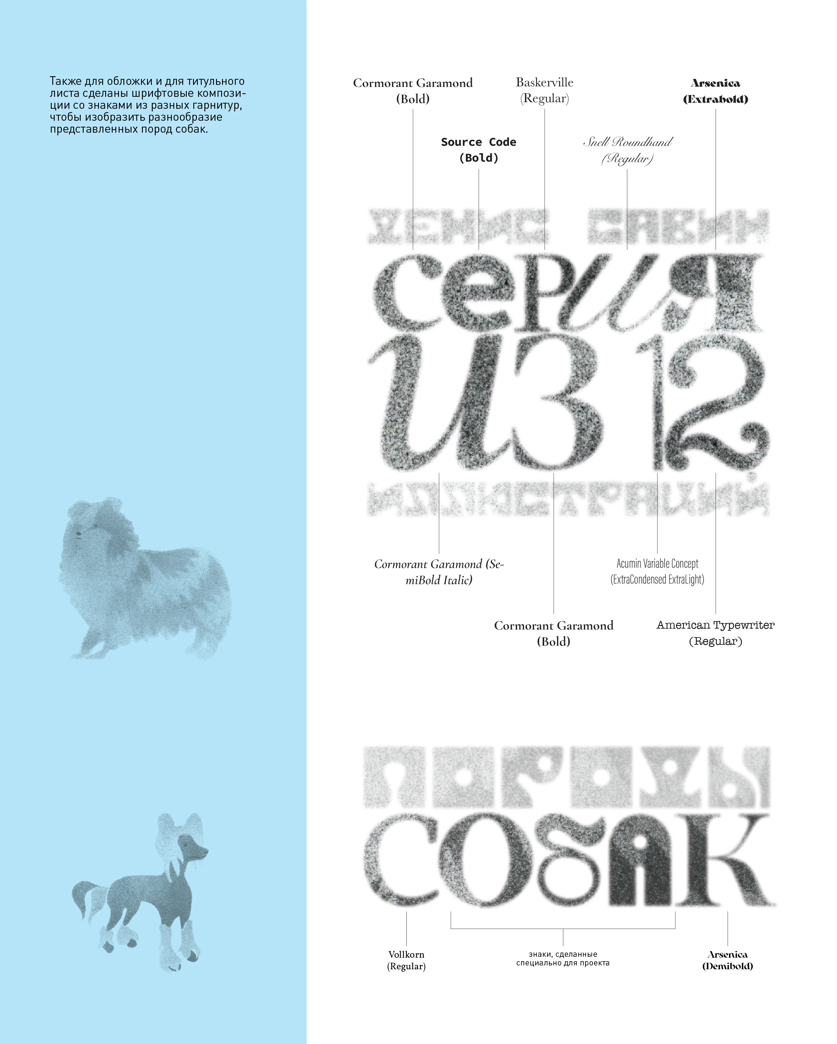 ЗИН: ПОРОДЫ СОБАК — Изображение №6 — Иллюстрация, Графика на Dprofile